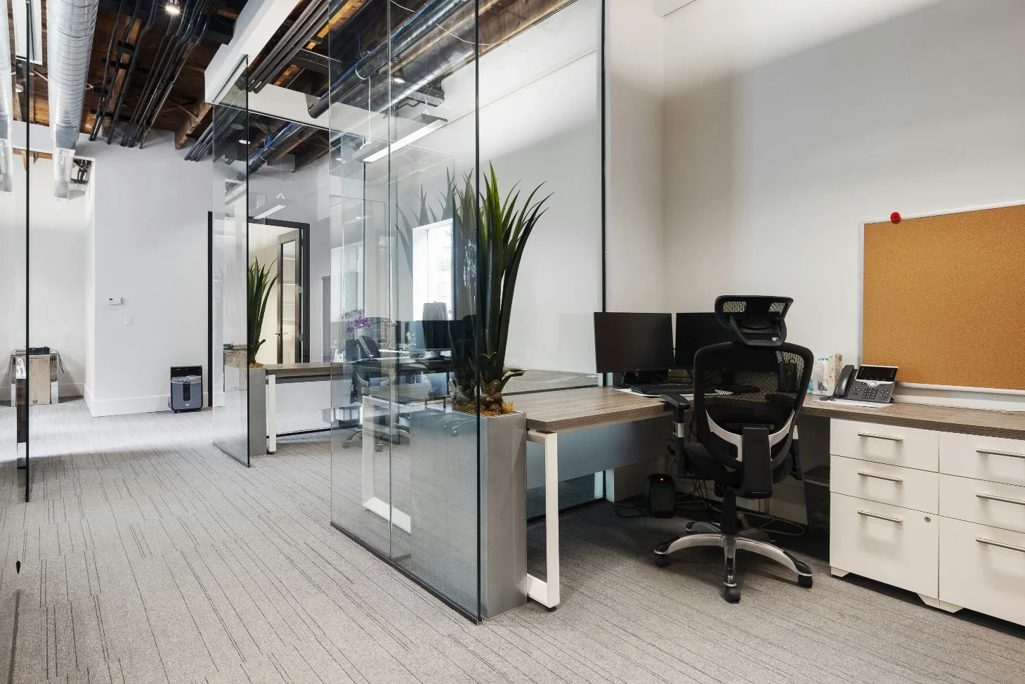 How Smarter Office Design Can Reduce Workplace Pest Problems