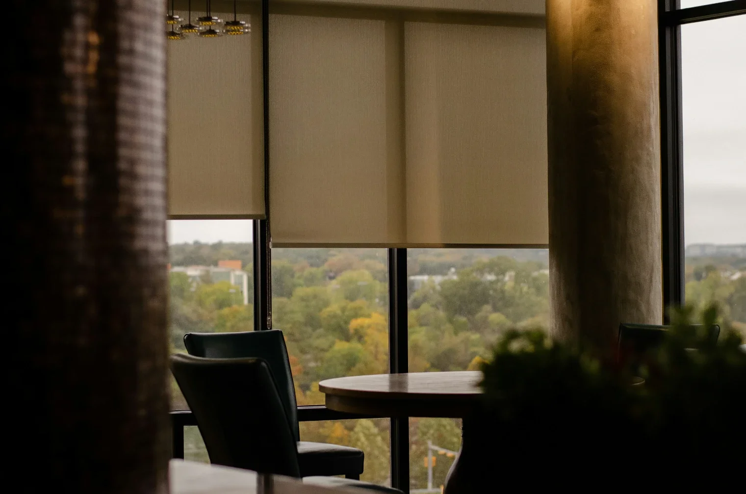 Roller Shades vs Blinds: Which Gives You Better Light Control