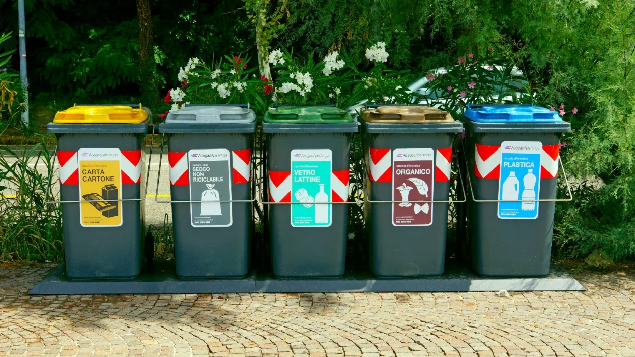 Moving Beyond Recycling: How Organizations Can Build a Circular Waste Management Strategy&nbsp;