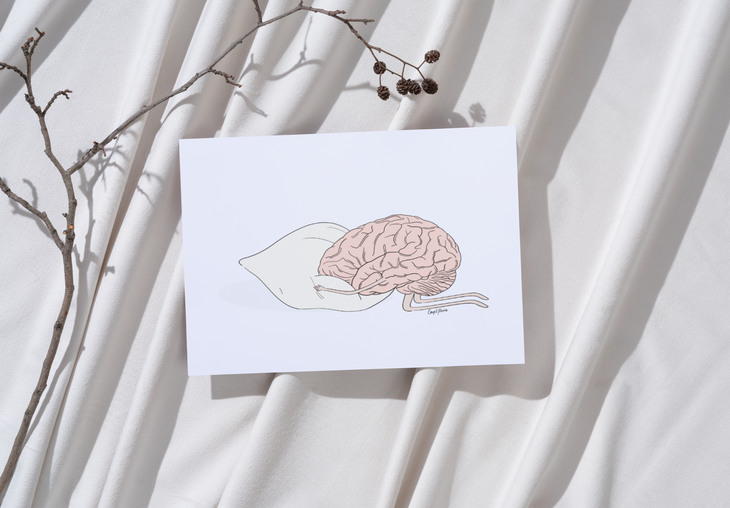 Carte postale "Anatomie - Oreiller"