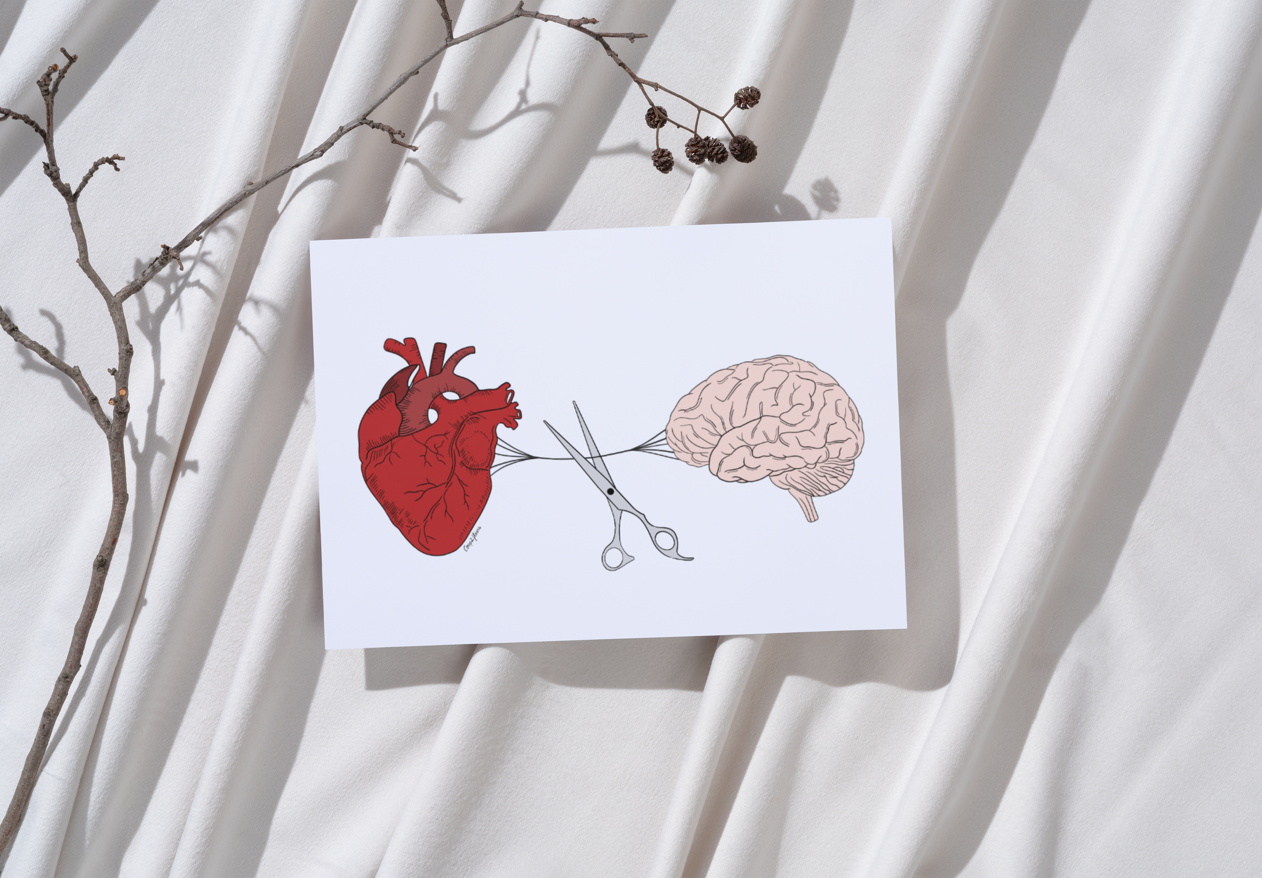 Carte postale "Anatomie - Ciseaux"