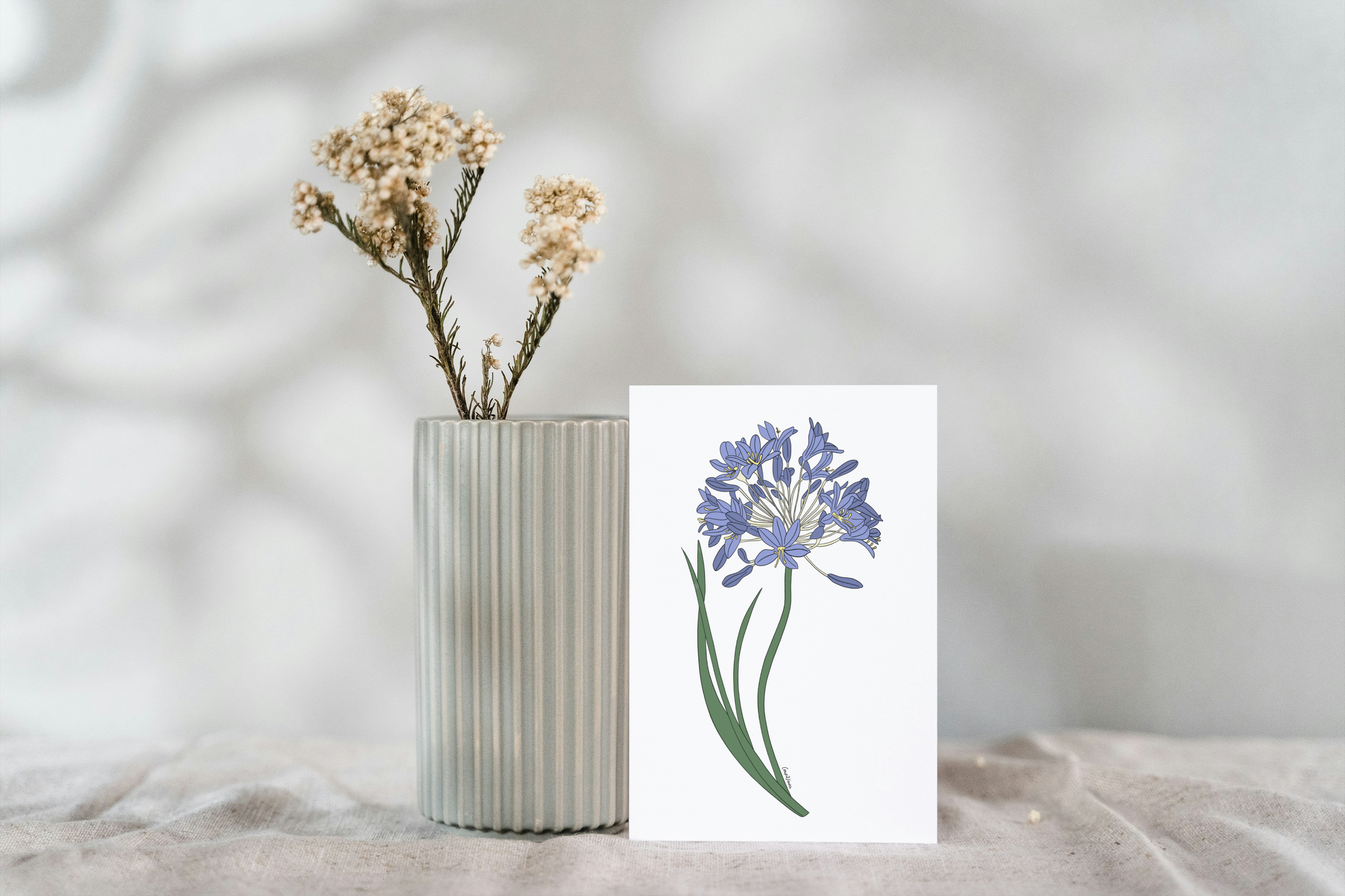 Carte postale "Agapanthe"