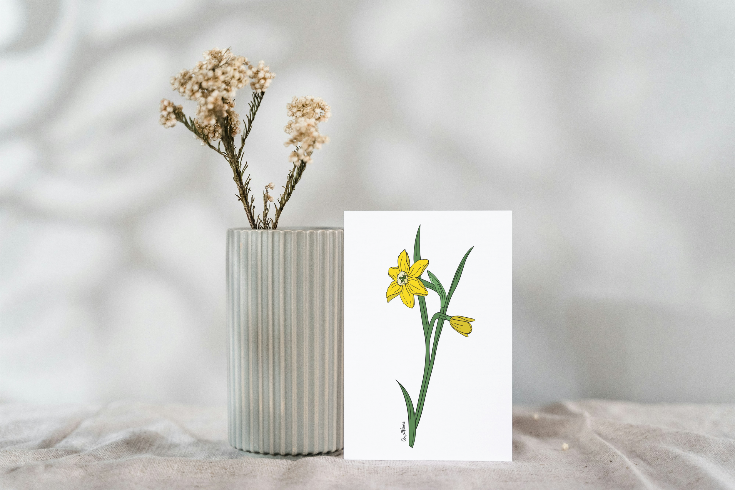 Carte postale "Jonquille"