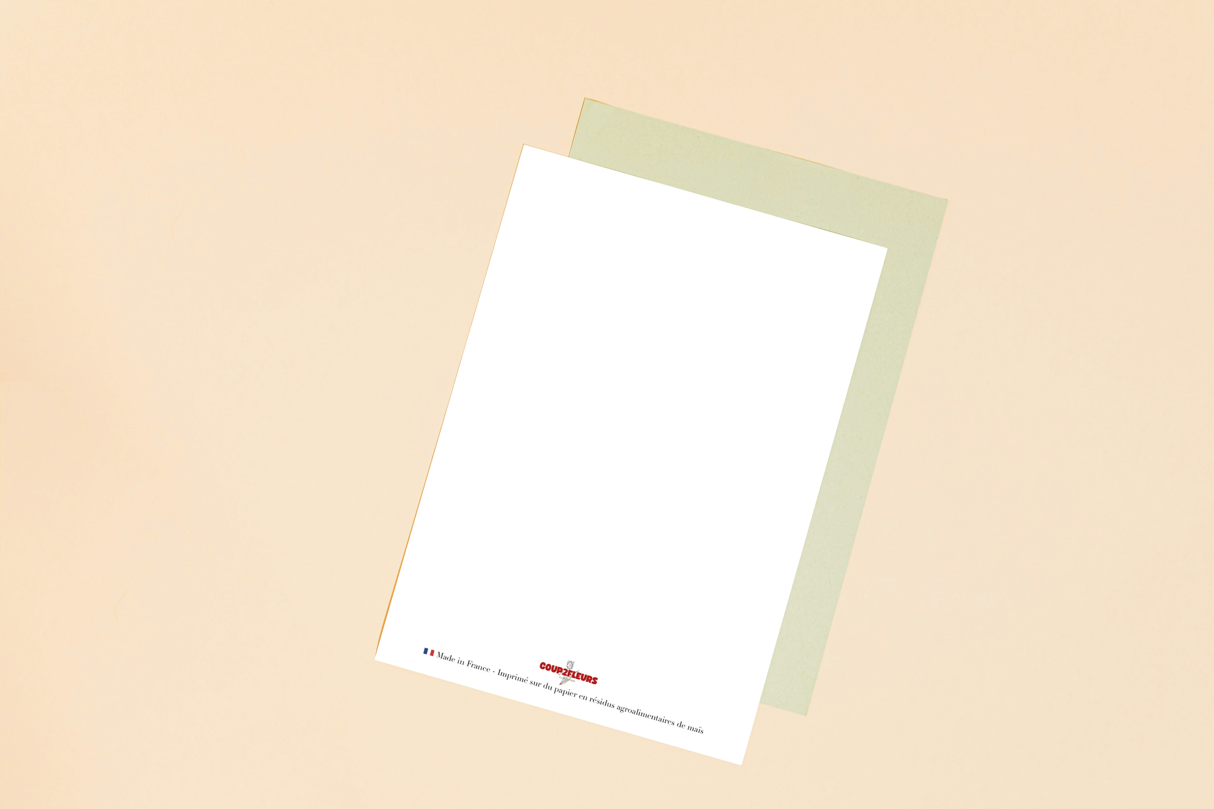 Verso.png