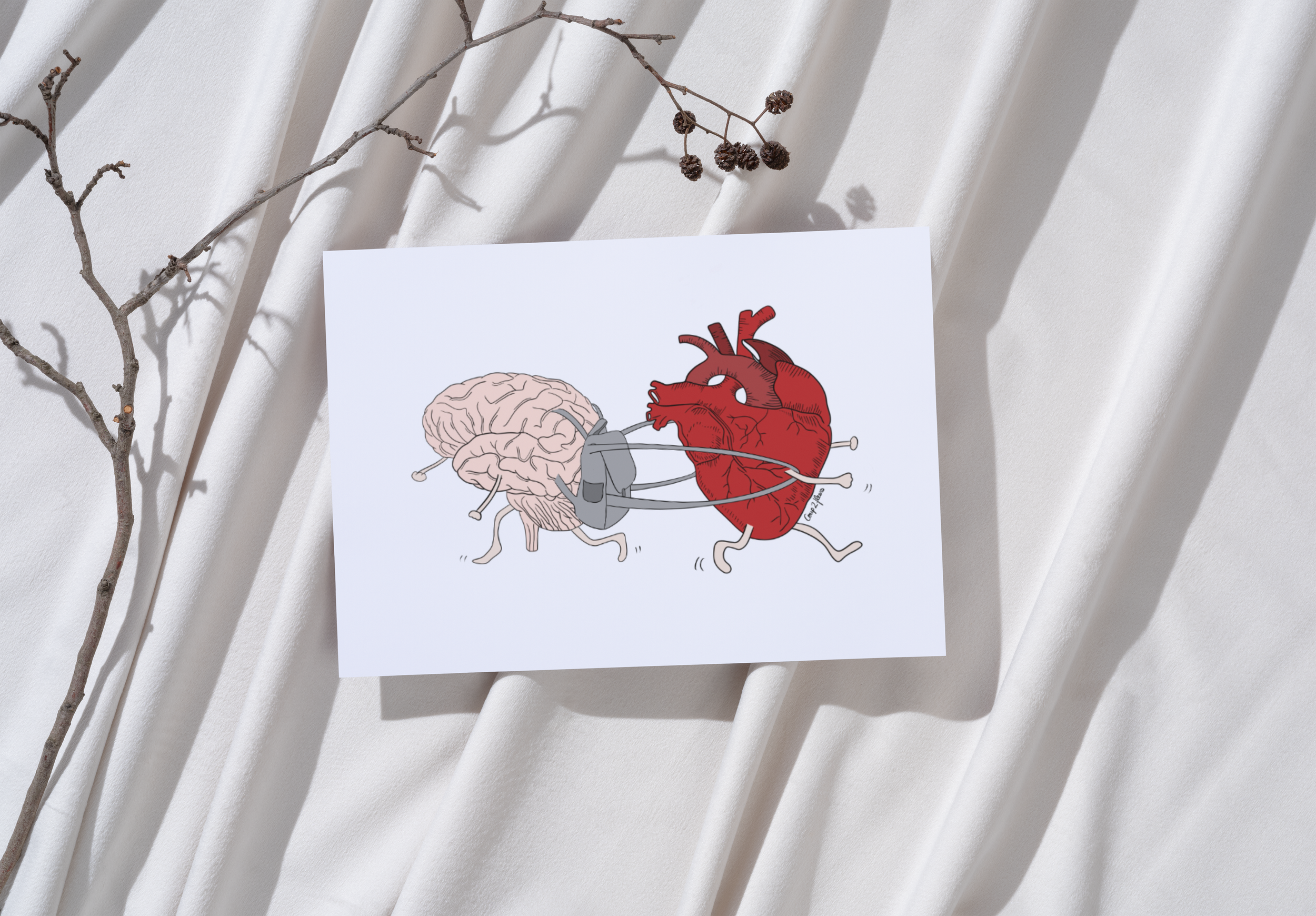 Carte postale " Anatomie - Sac à dos"