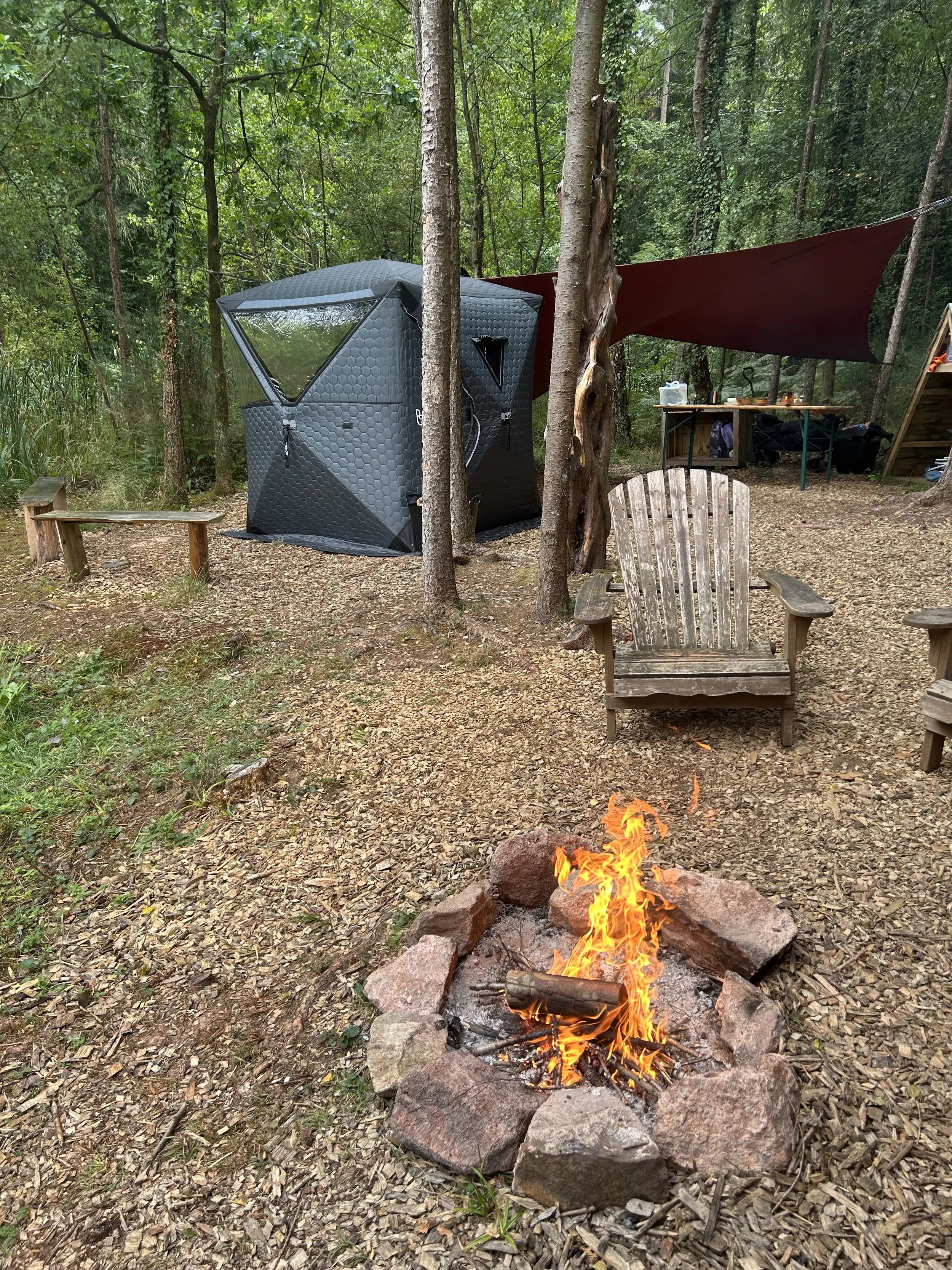 Forest Swim & Sauna with Hehku Wild Wellbeing