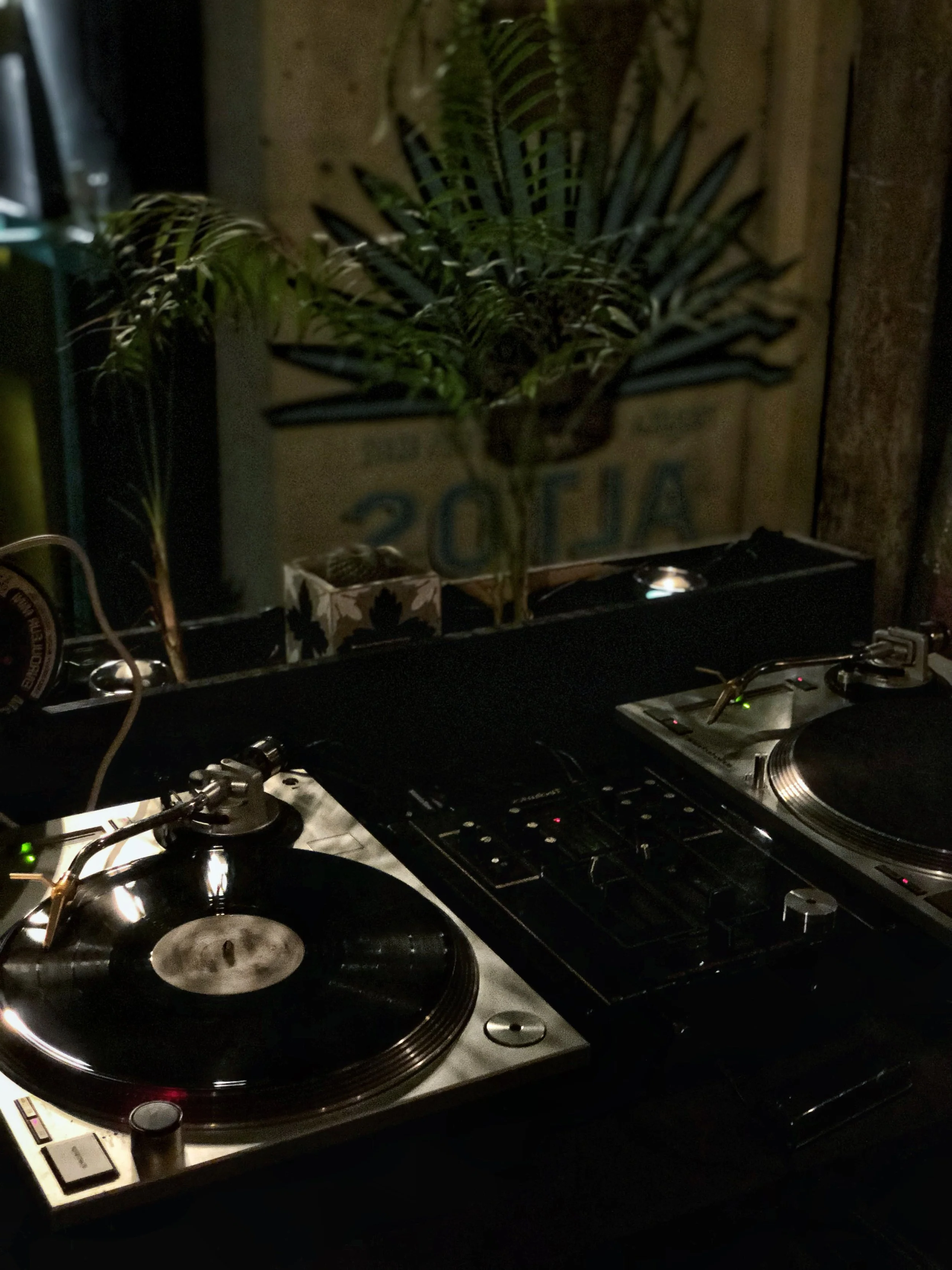 plateaux de DJ avec deux platines vinyles et un mélangeur, décor avec des plantes vertes en arrière-plan.