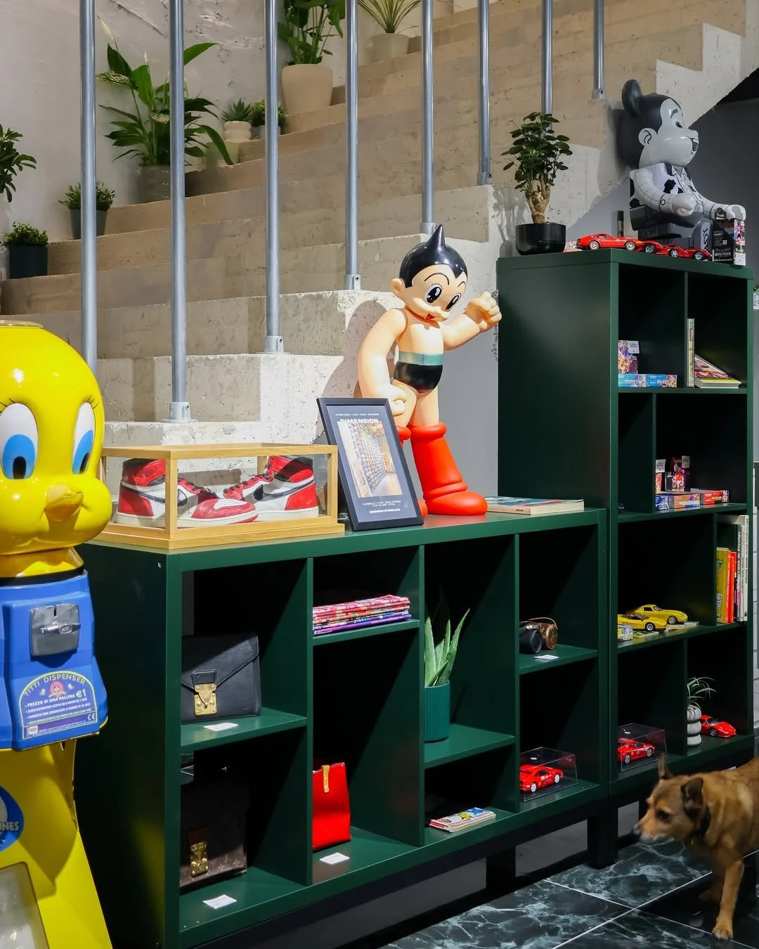 Décor vintage avec statues de Tintin et d'autres personnages, étagères vertes avec livres, jouets et plantes, chien en premier plan, escalier en arrière-plan.