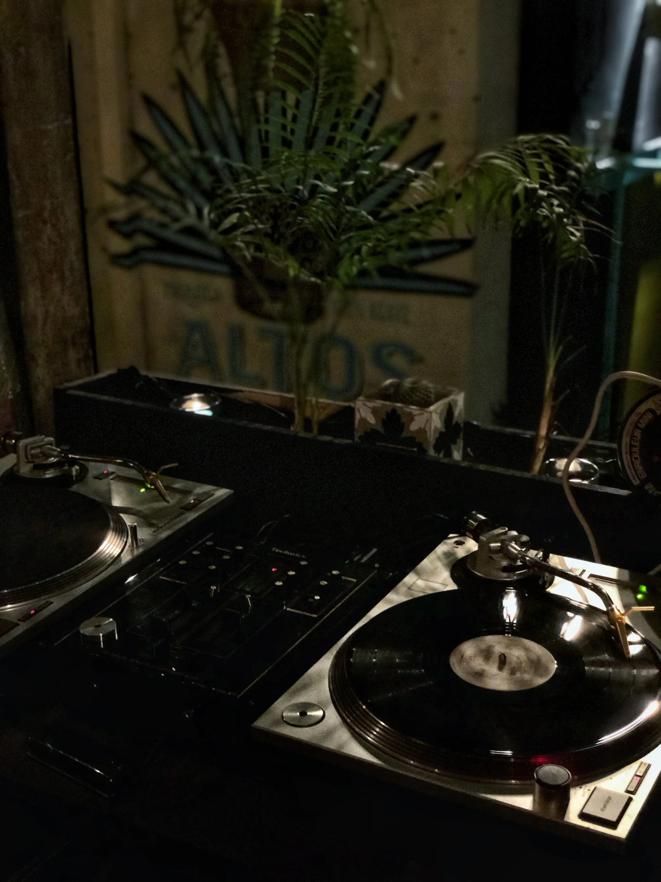 Plateformes de DJ avec vinyles, en ambiance sombre, décor avec des plantes vertes et un fond avec un panneau en bois.