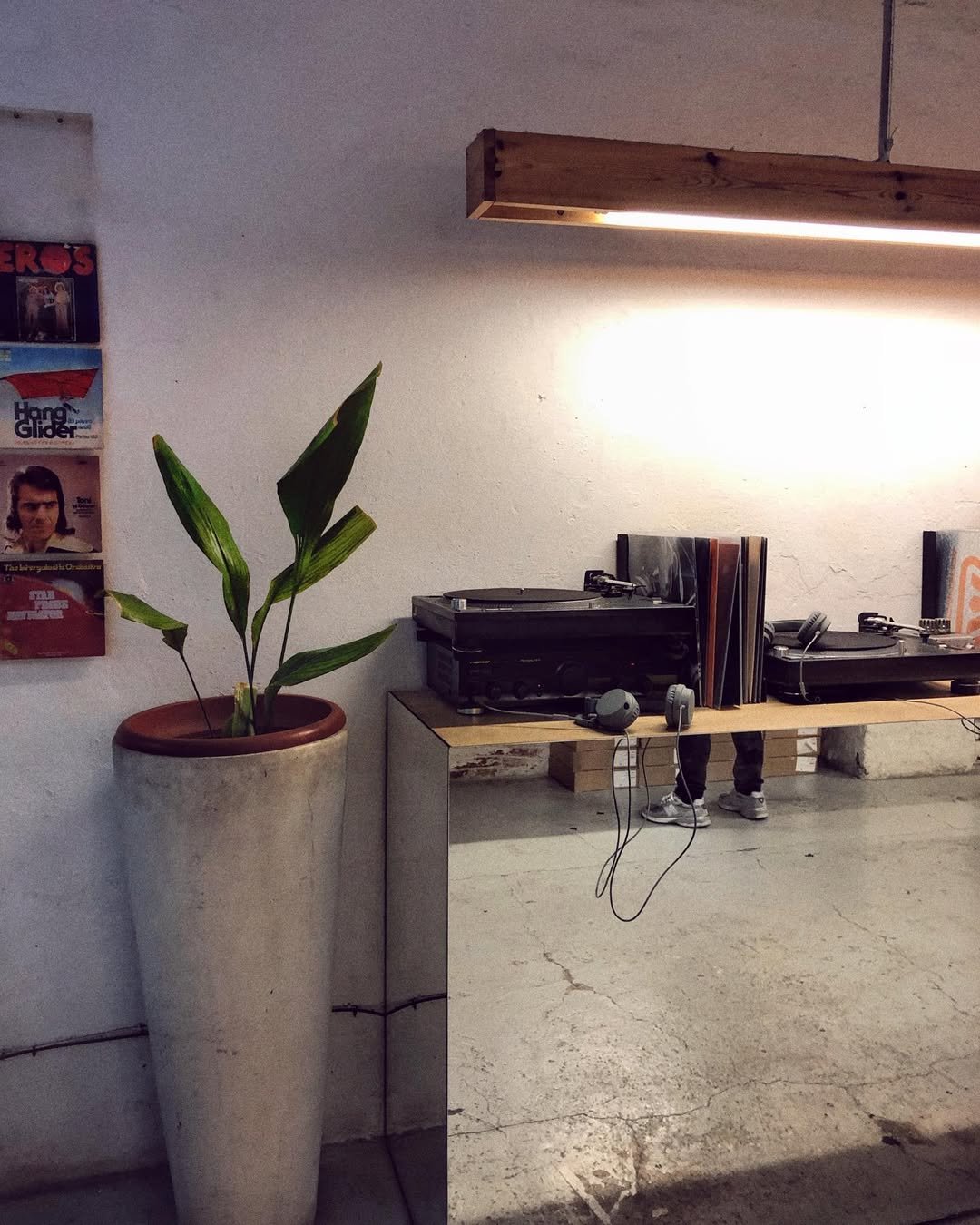 Une plante verte dans un grand pot beige à gauche, et à droite, une étagère en bois avec des platines vinyles, un casque audio et quelques livres, dans un intérieur avec un mur blanc et un éclairage.