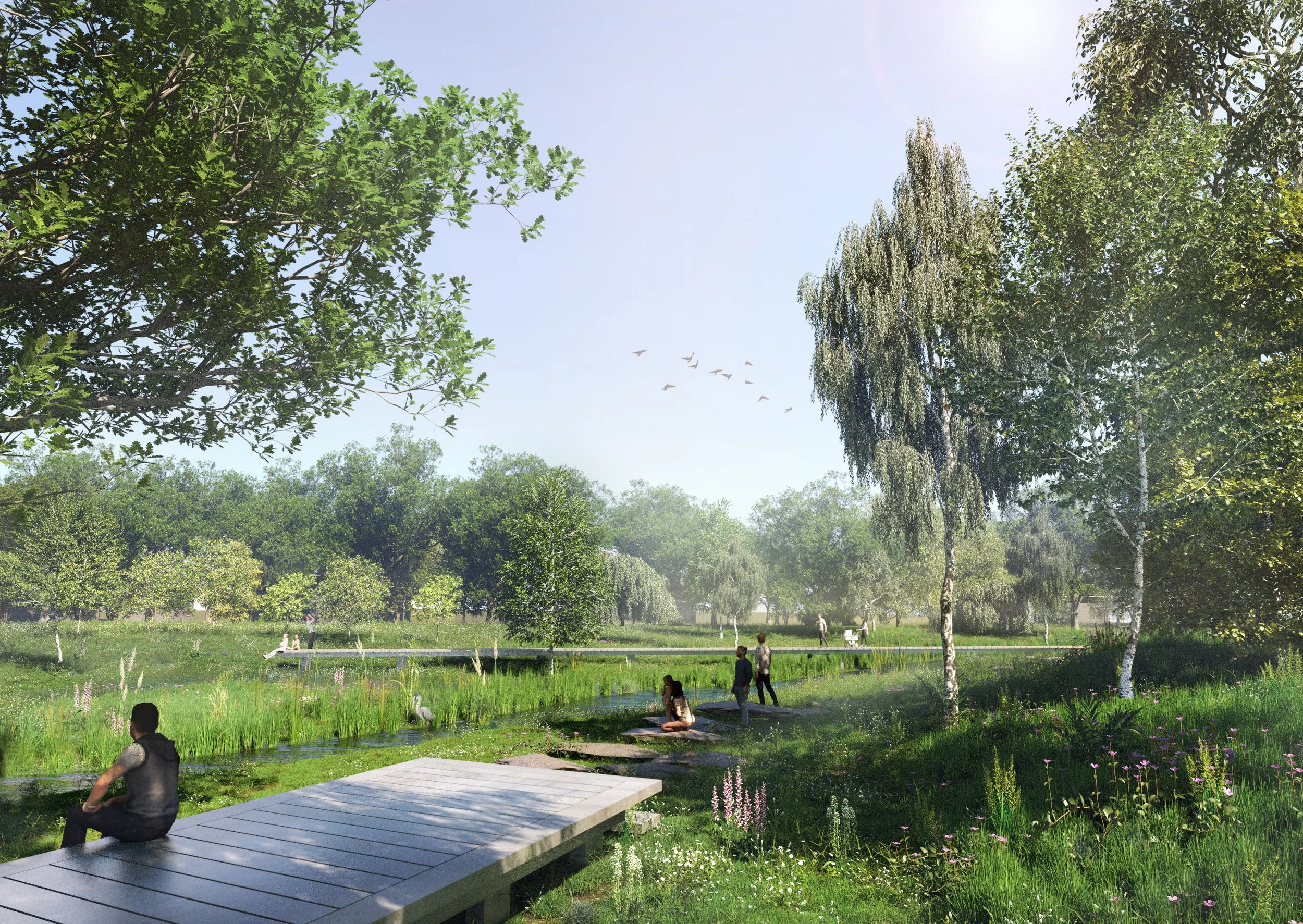 Dynamic wetland and stream landscape in Green Corridor Jüchen.