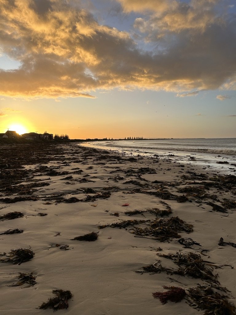 Sunset at the beach with sandy shore covered in seaweed, calm ocean waves, and cloudy sky.
