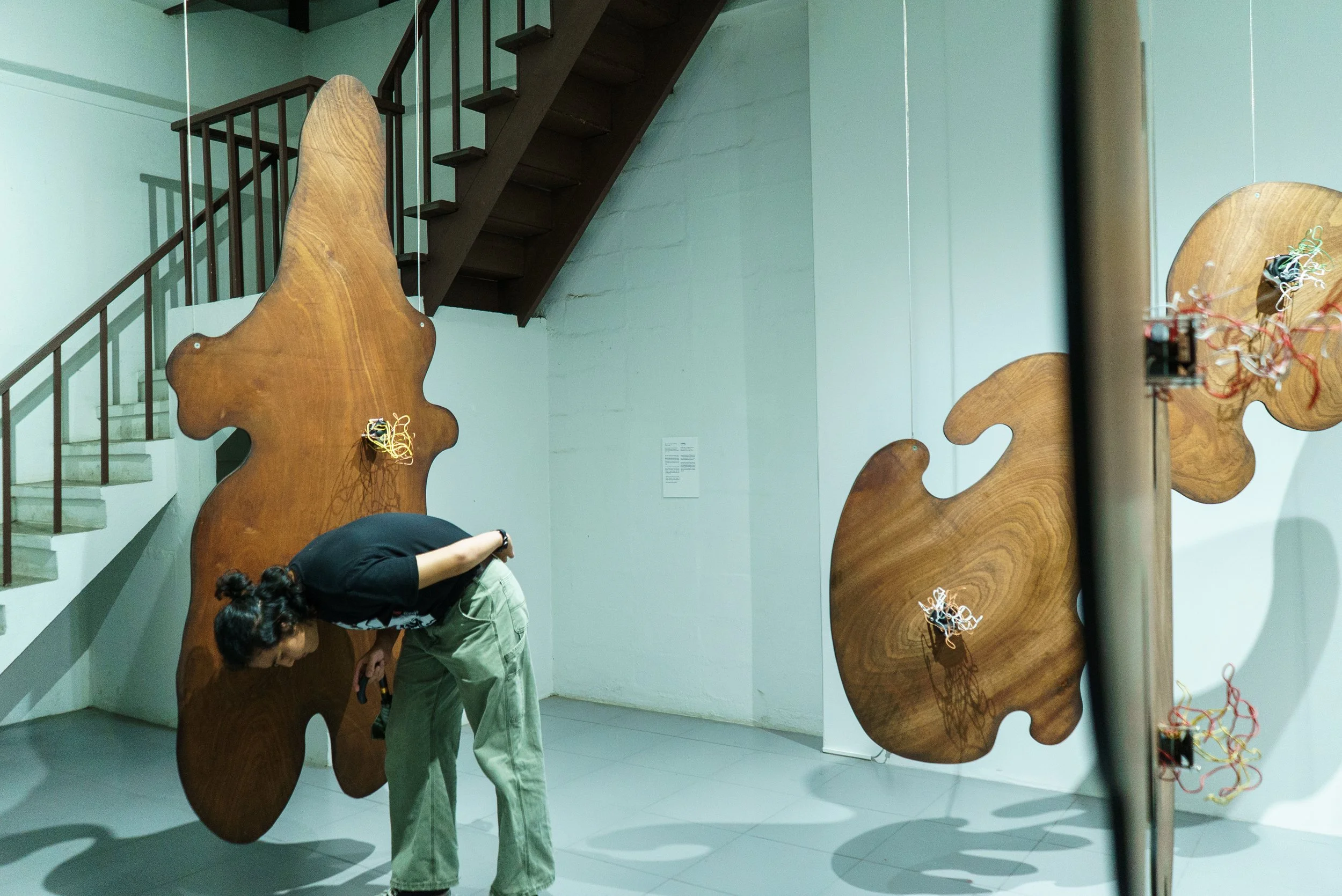 (fl1_prelude)_Drunken_Mushroom_Syndrome_011[1].jpg