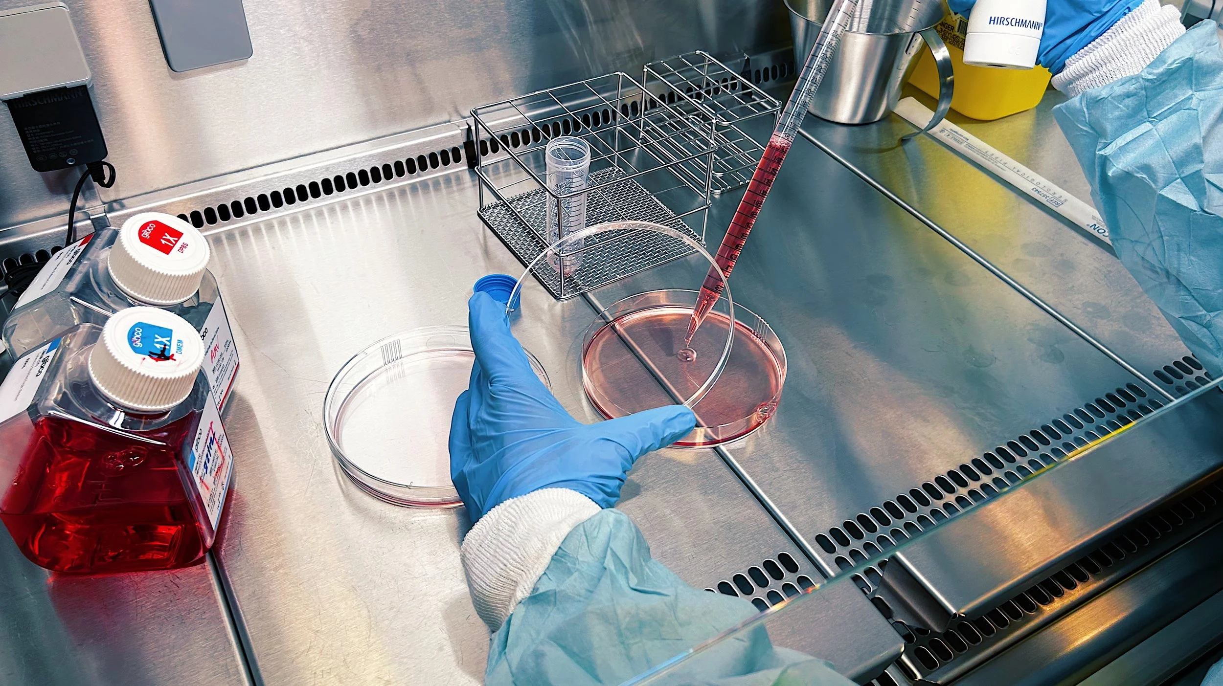 De livreddende virusene