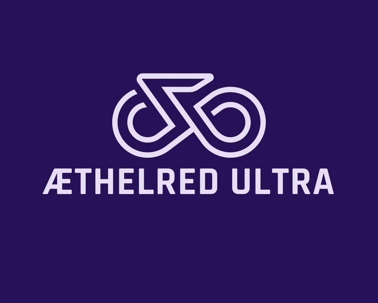 Æthelred Ultra Pair 300 (per rider)