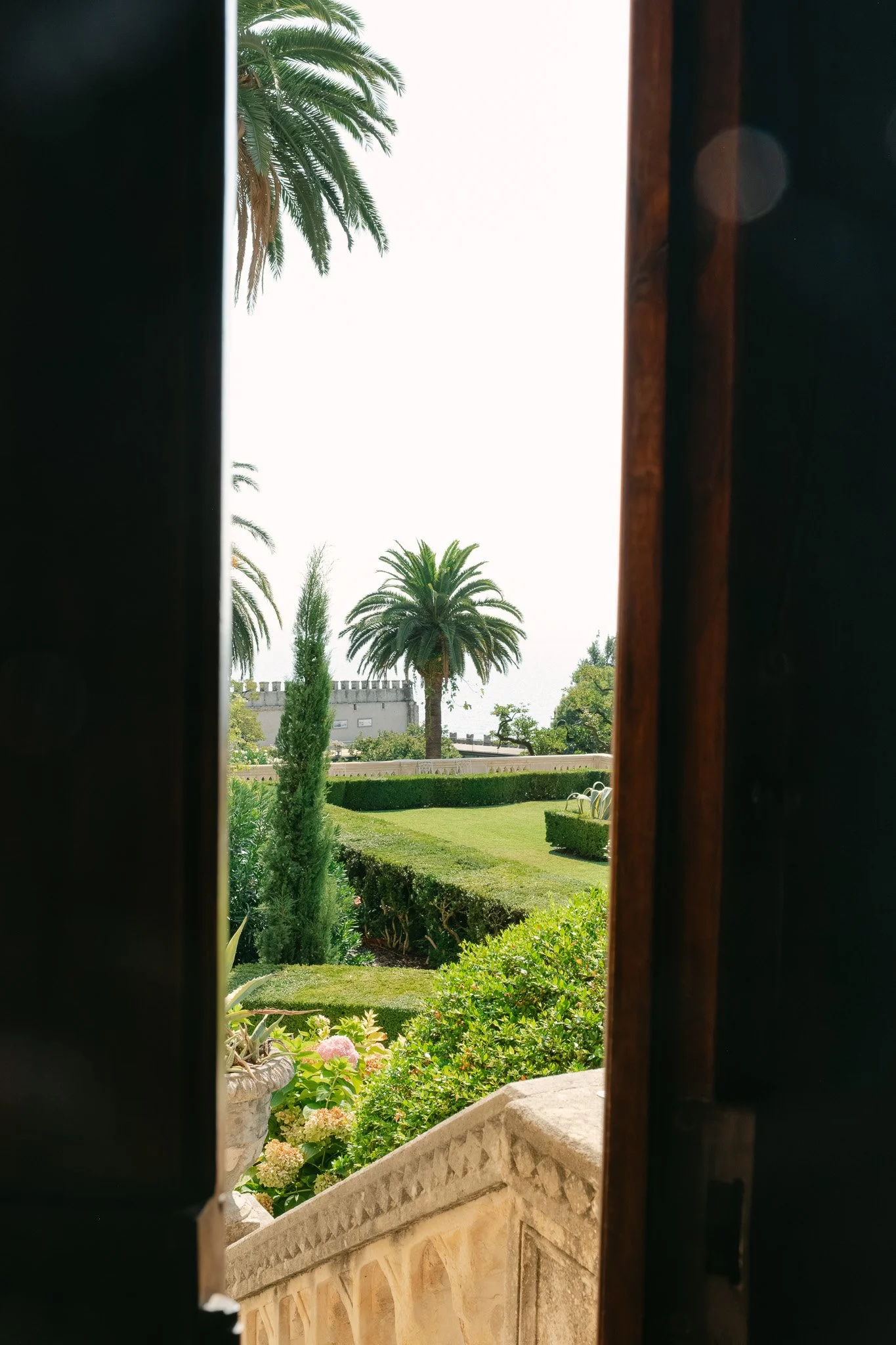 DSCF6746-3.jpg
