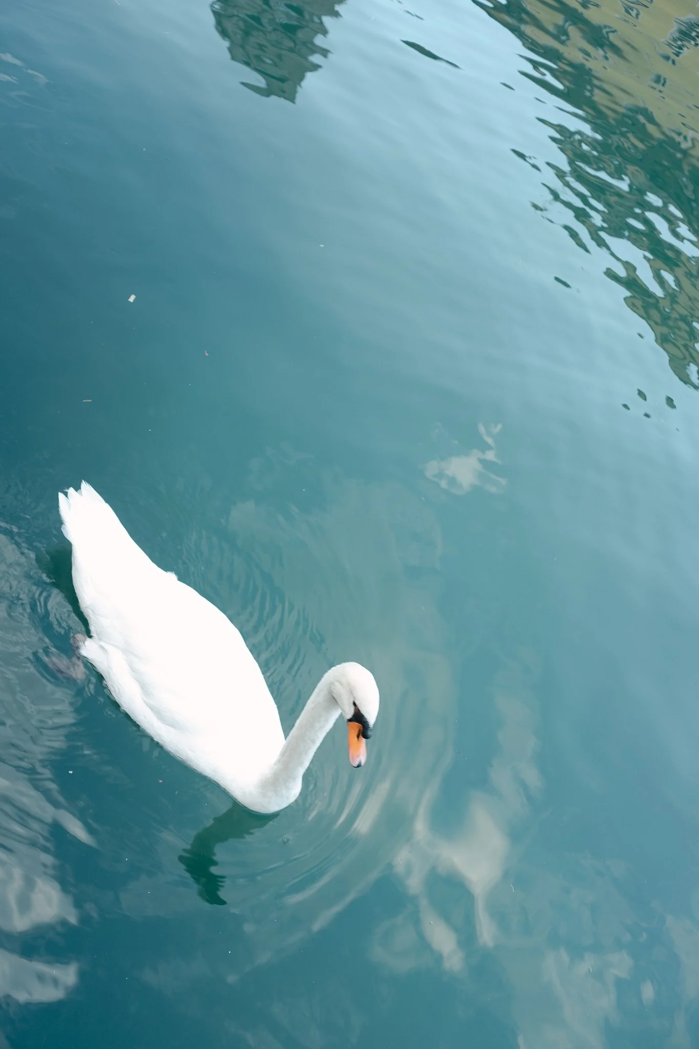 DSCF6352.jpg