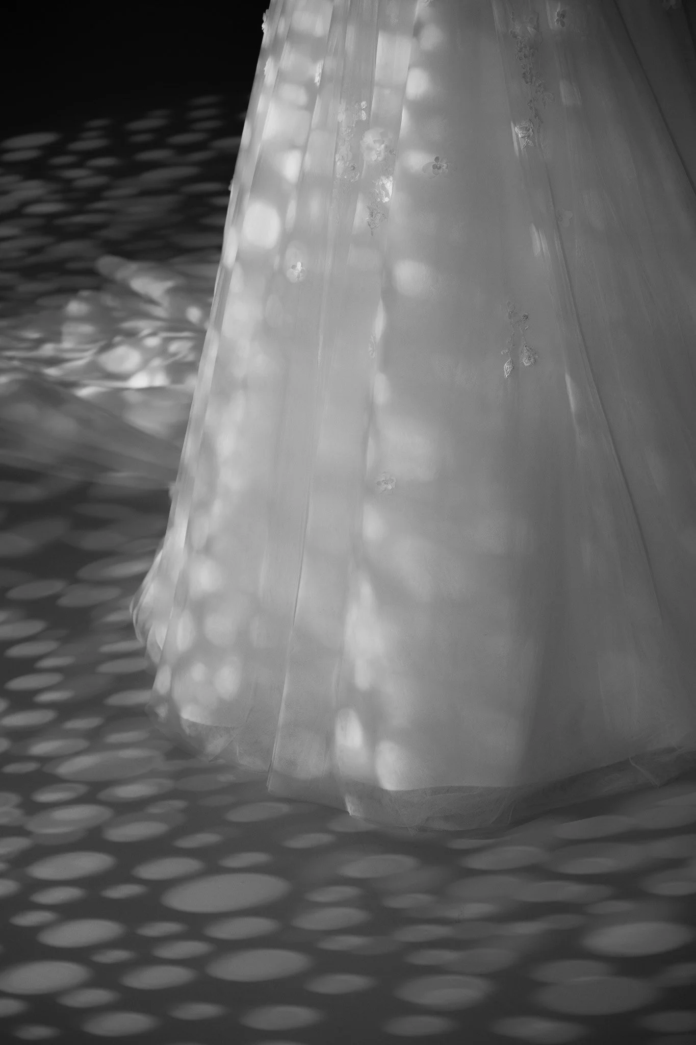 DSCF2955.jpg