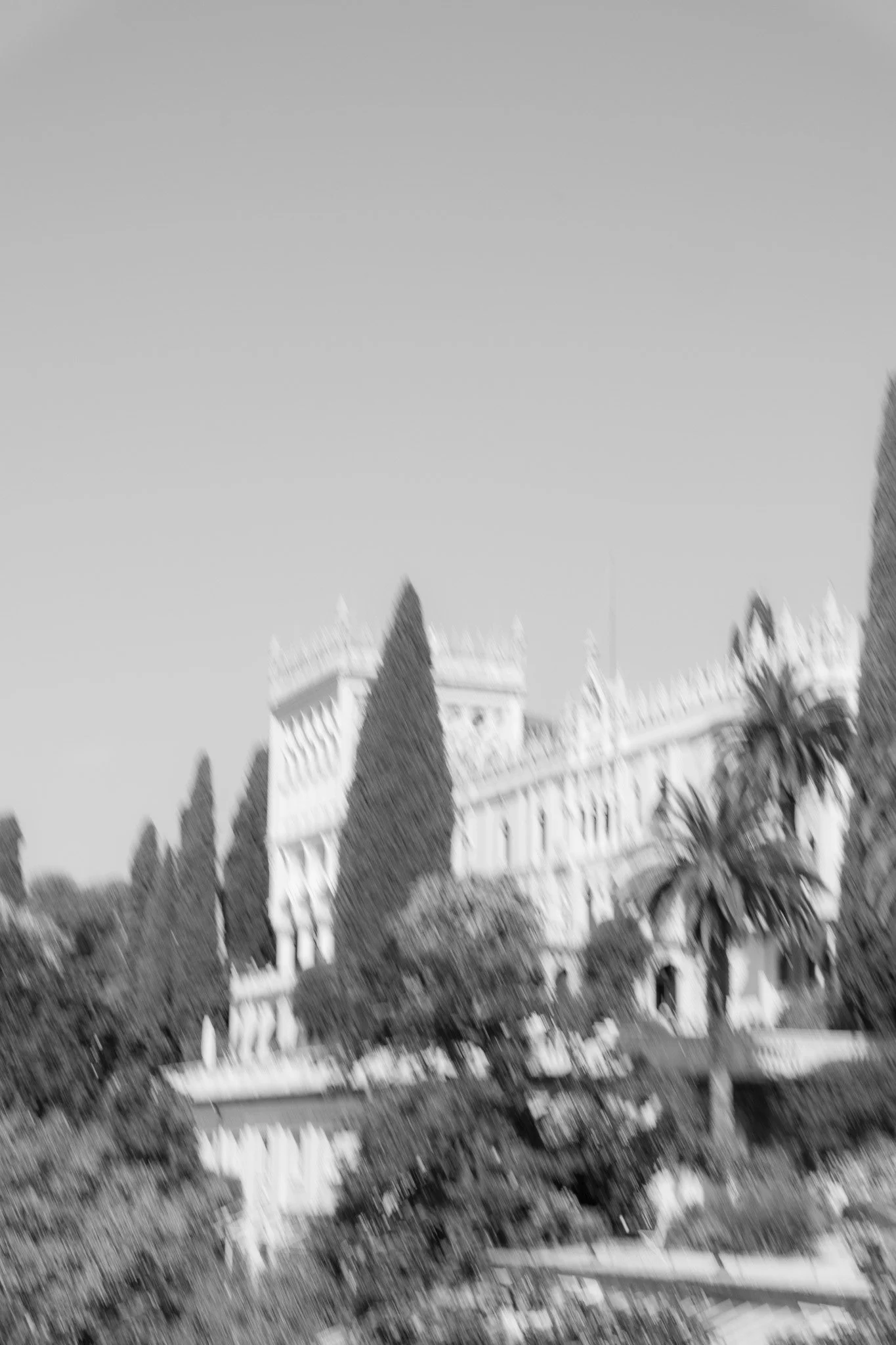 DSCF6649-3.jpg