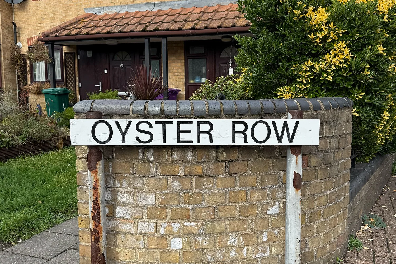 ST018_1500x1000px_Oyster_Row.jpg