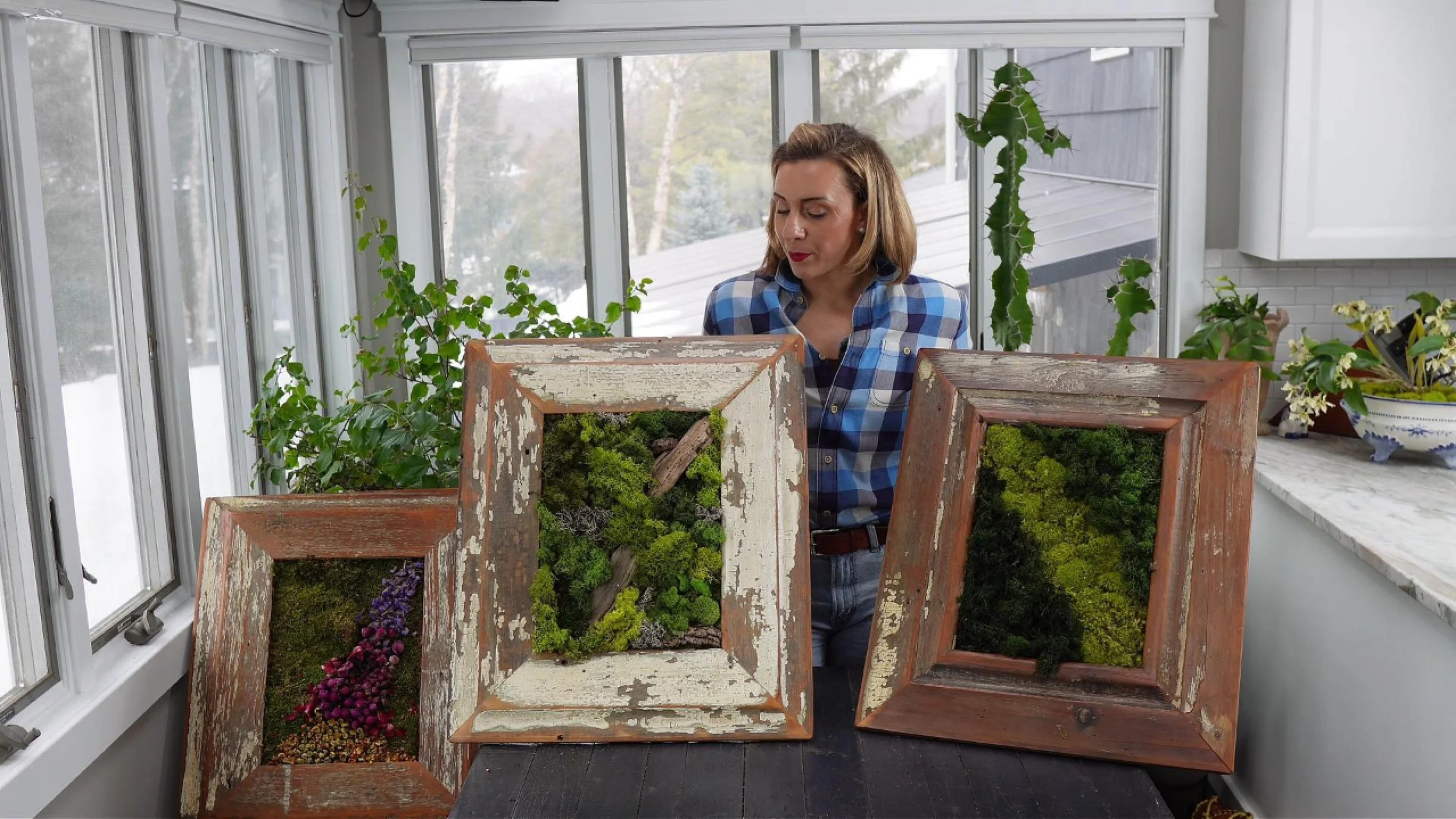 A woman in a blue plaid shirt looking at three rustic wooden frames filled with moss and small plants, set on a black table in a brightly lit kitchen.