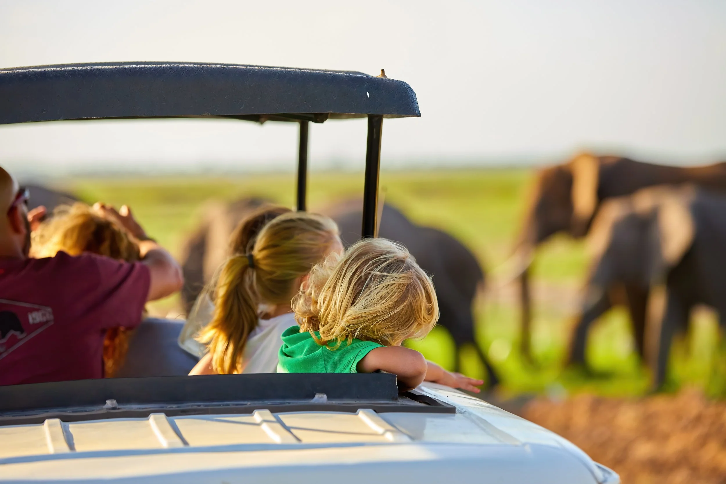 Zambia Safari : The Ultimate Packing Guide