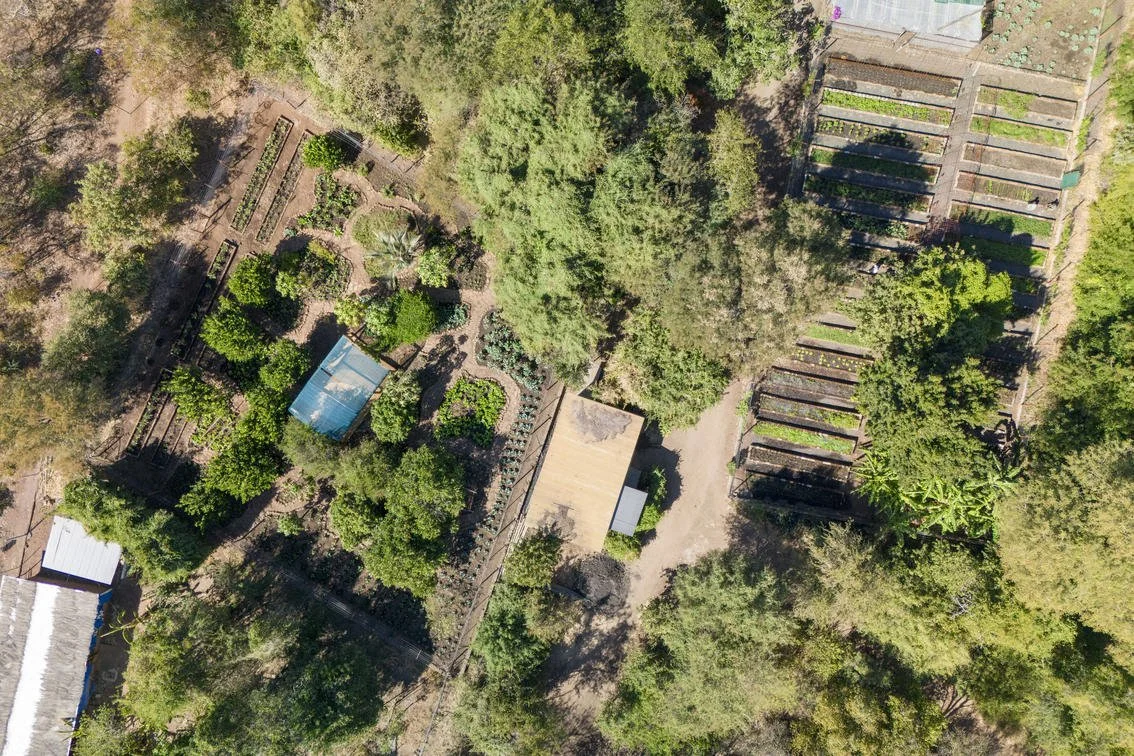 on-site_vegetable_garden.jpg
