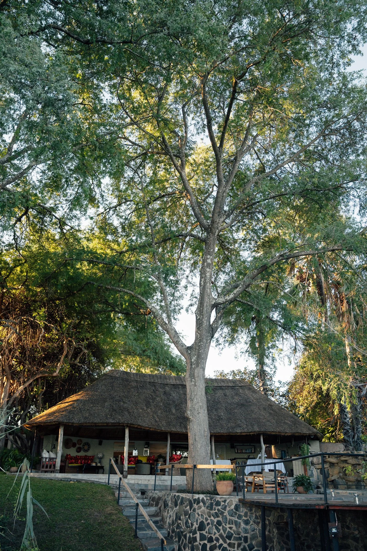 2025-05-chundukwa-livingstone-zambia-by-marion-payr-255.jpg