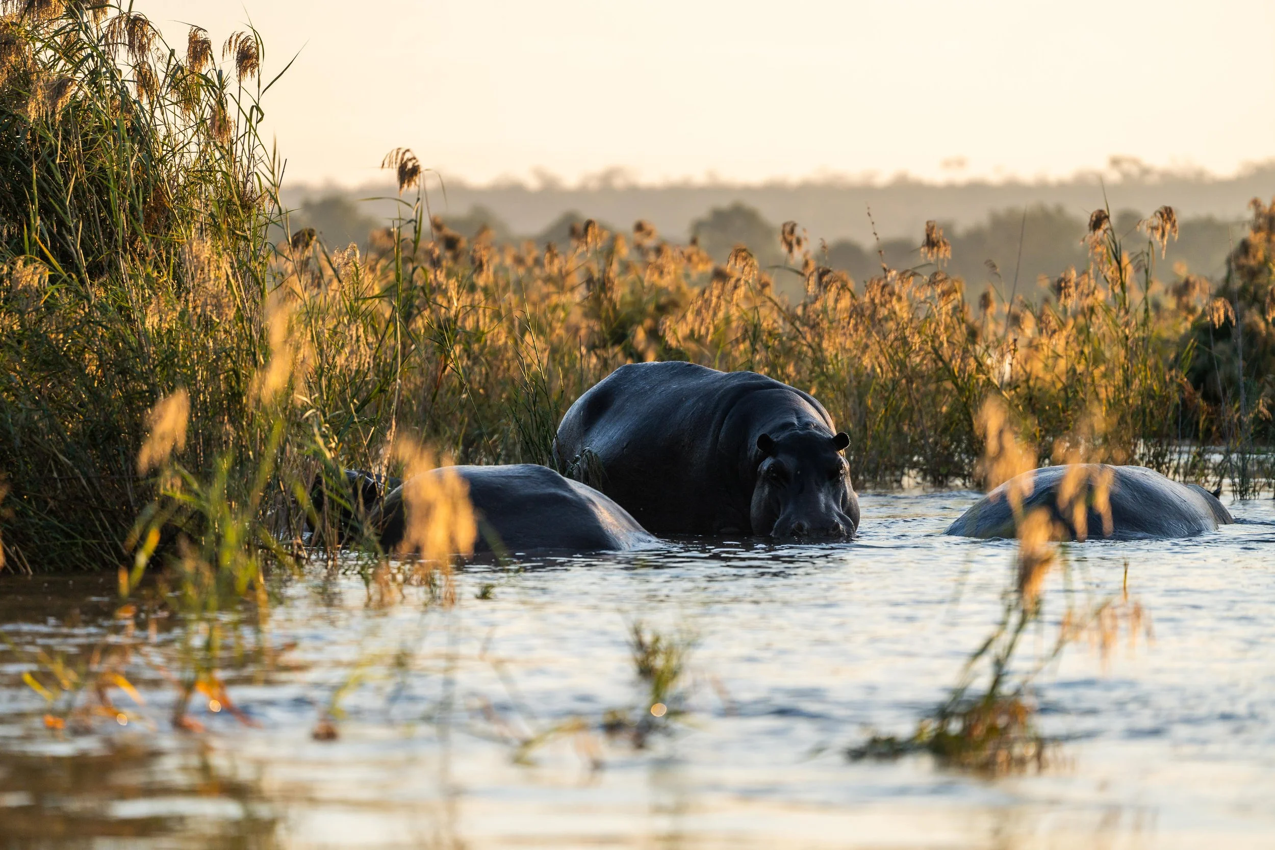 Mukwa River Lodge River Safari Activity_1.jpg