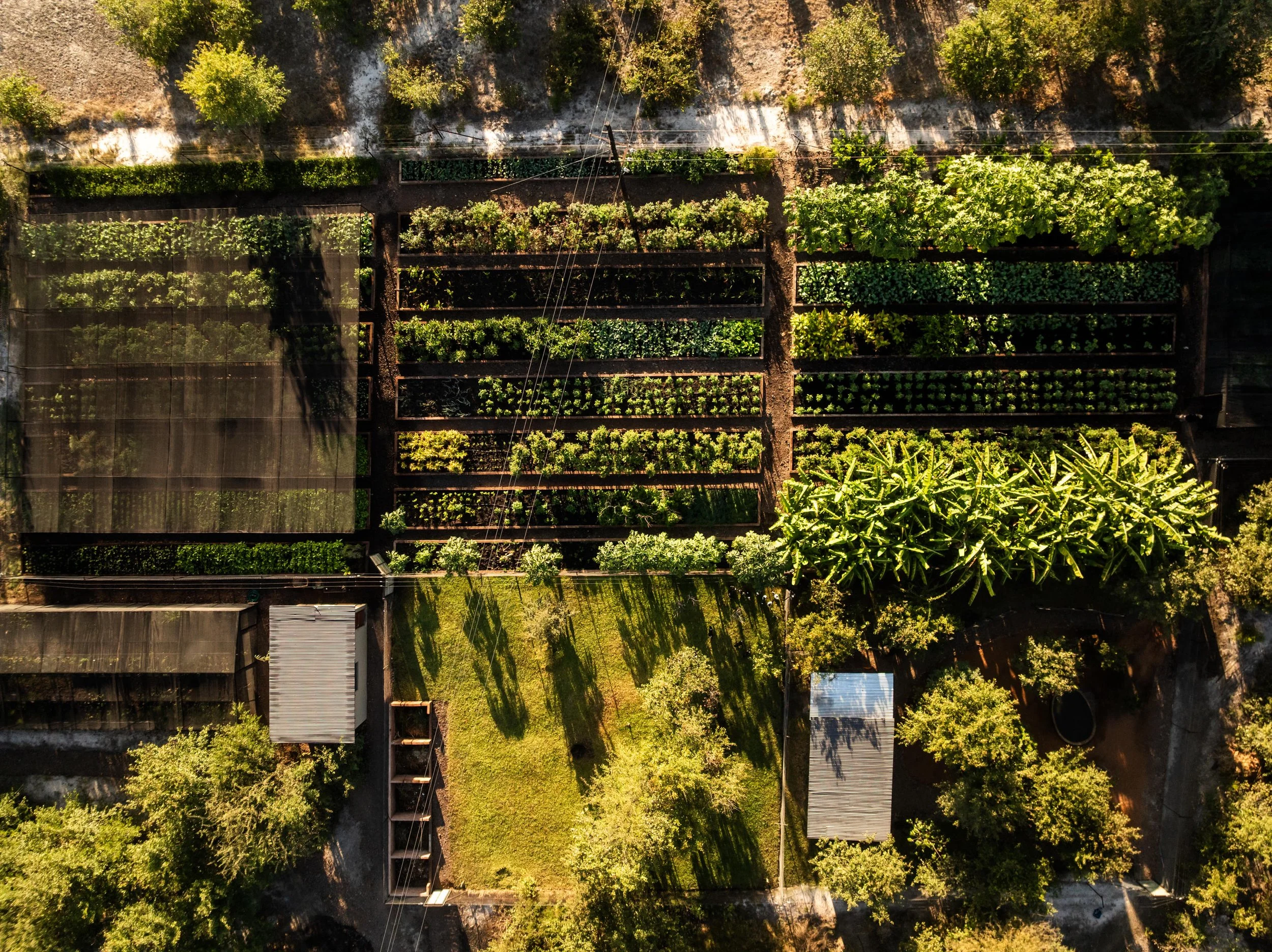 Mukwa River Lodge Organic Gardens_1.jpg