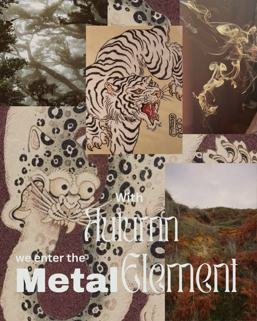 I have been diving into the teachings of the metal element as we enter the autumn season and about what it teaches us about grief, discernment, receiving and letting go. 

These are themes I weave into my somatic yin yoga practice, where we explore t
