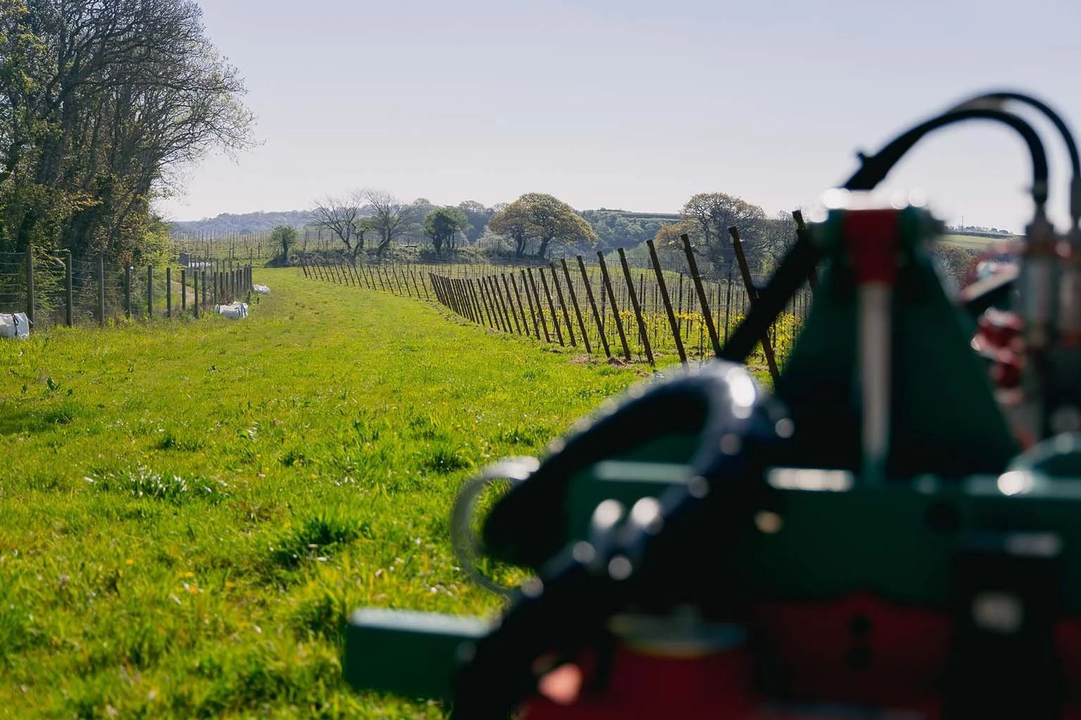 View of a grassy vineyard with a fence on the right, trees in the background, and a blurred tractor in the foreground.