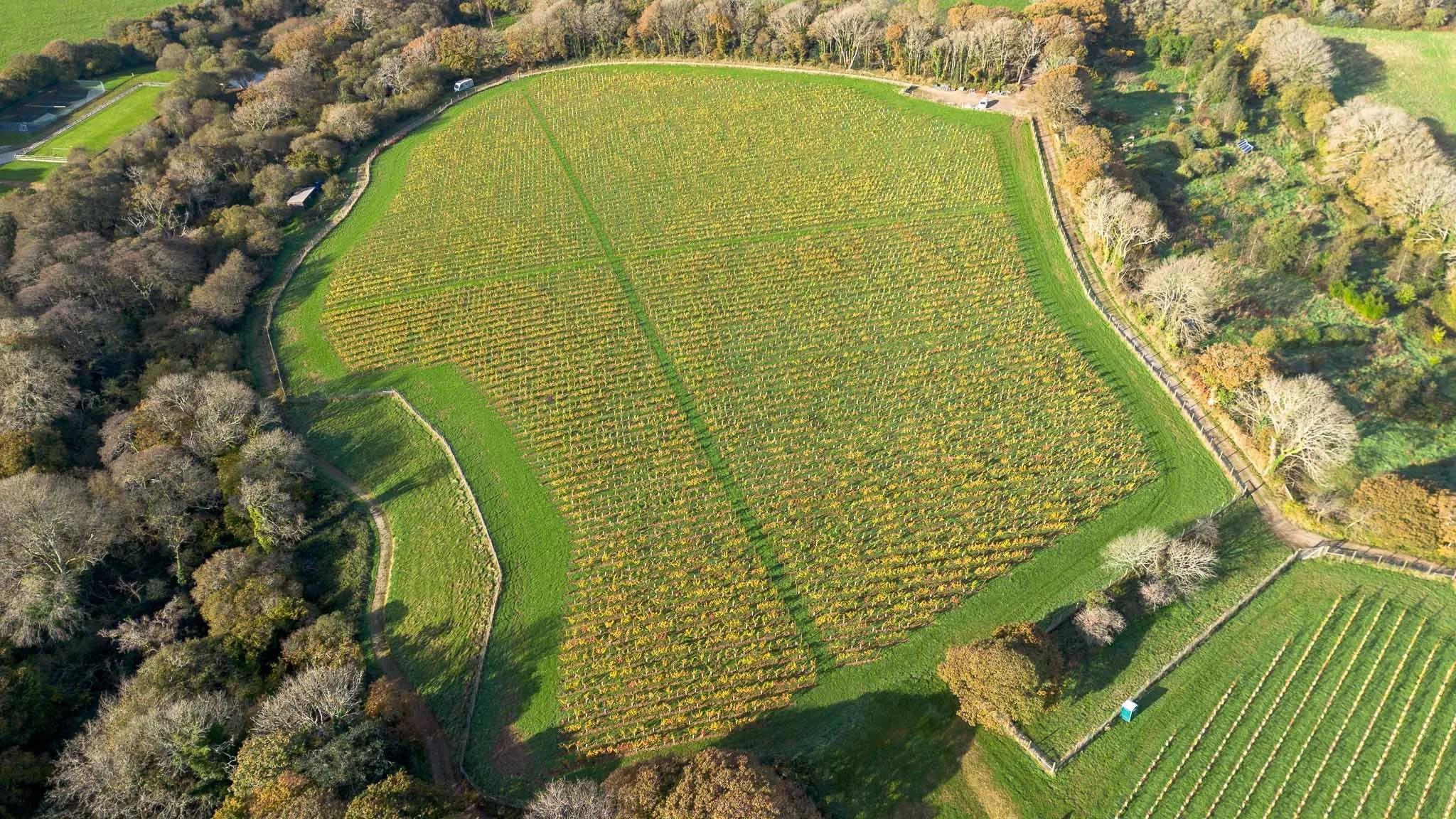 Aerial view of a vineyard surrounded by trees and greenery, with a pathway running through and some small structures nearby.