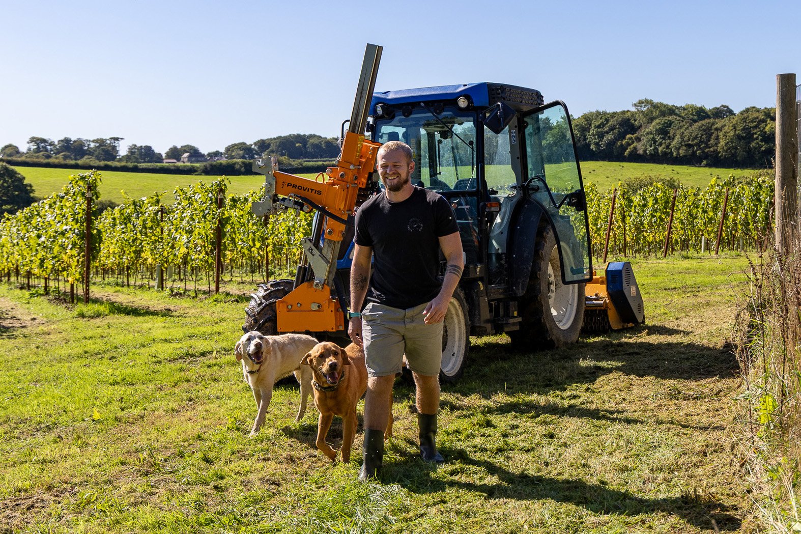 A man walking with two dogs in front of a tractor on a vineyard during daytime.