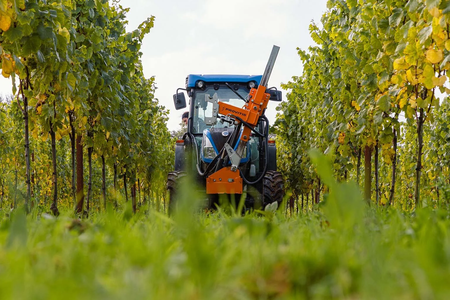 A tractor operating between rows of grapevines in a vineyard.