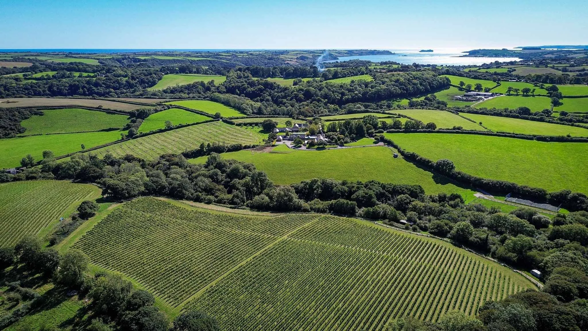 Aerial view of green rolling fields, vineyards, trees, and a small cluster of white buildings in a rural landscape with a body of water in the background on a clear sunny day.