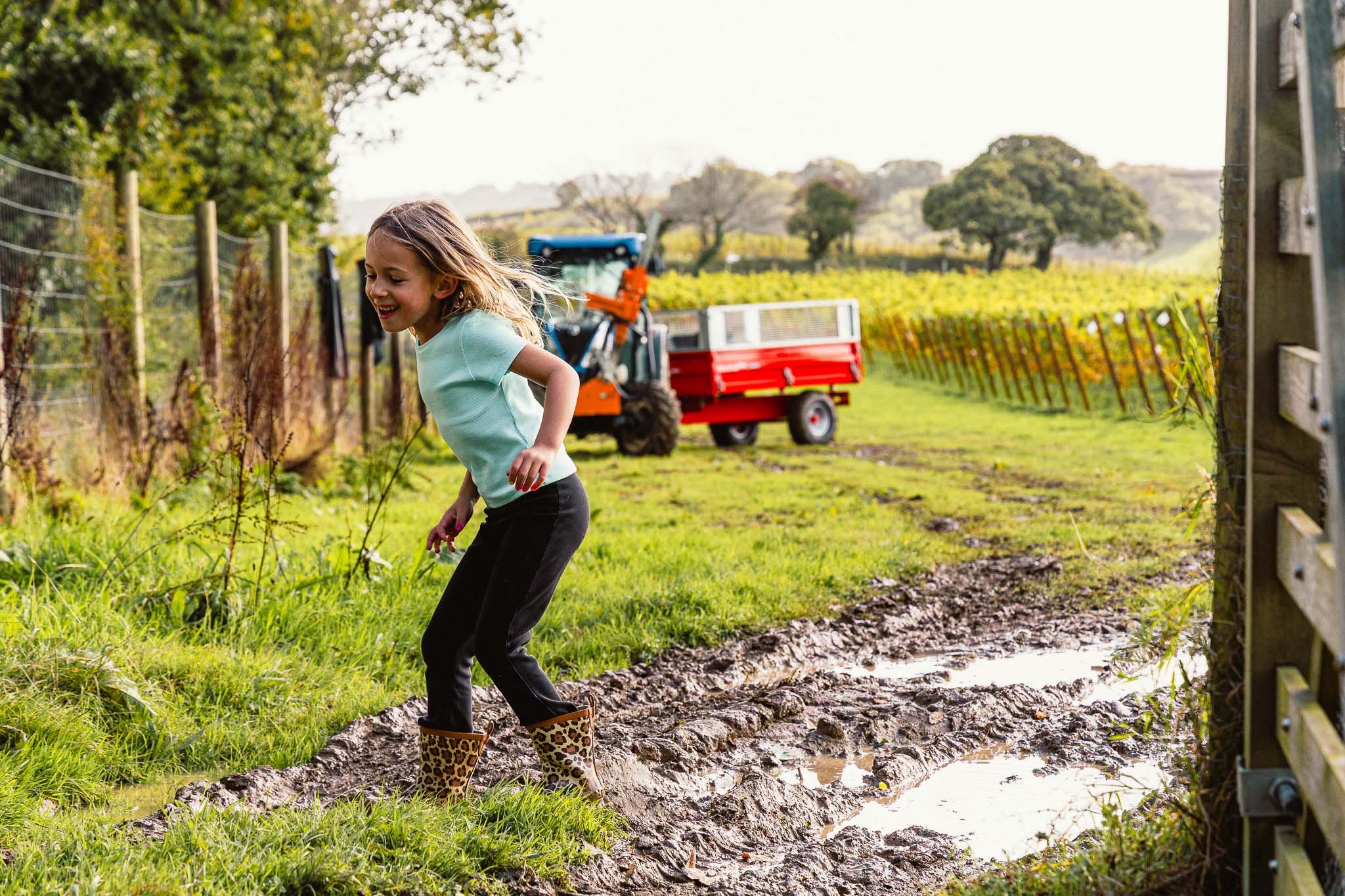 A young girl wearing leopard print rain boots playing in a muddy path in a vineyard on a sunny day.