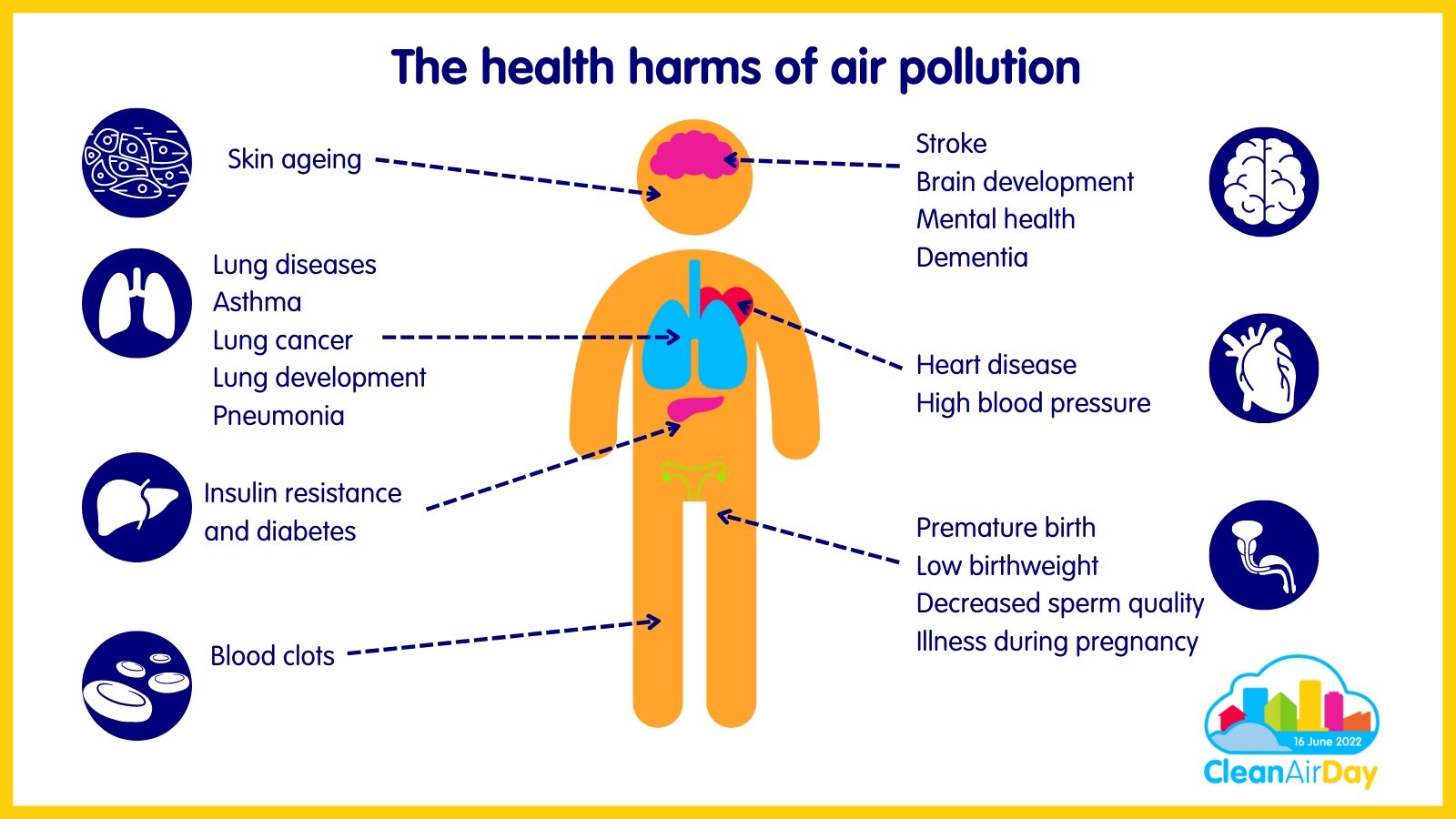 Infographic showing body organs harmed by air pollution