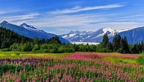 A scenic landscape of a field with colorful flowers, green trees, and snow-capped mountains in the background under a partly cloudy sky.