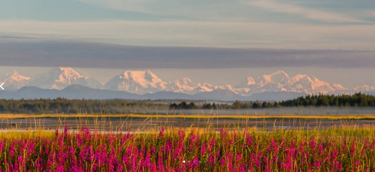 A landscape showing a field of pink flowers in the foreground, with a layer of mist above it. In the background, there are mountain ranges with snowy peaks under a partly cloudy sky.