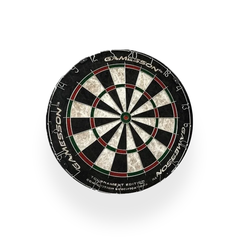 Bristle dartboard