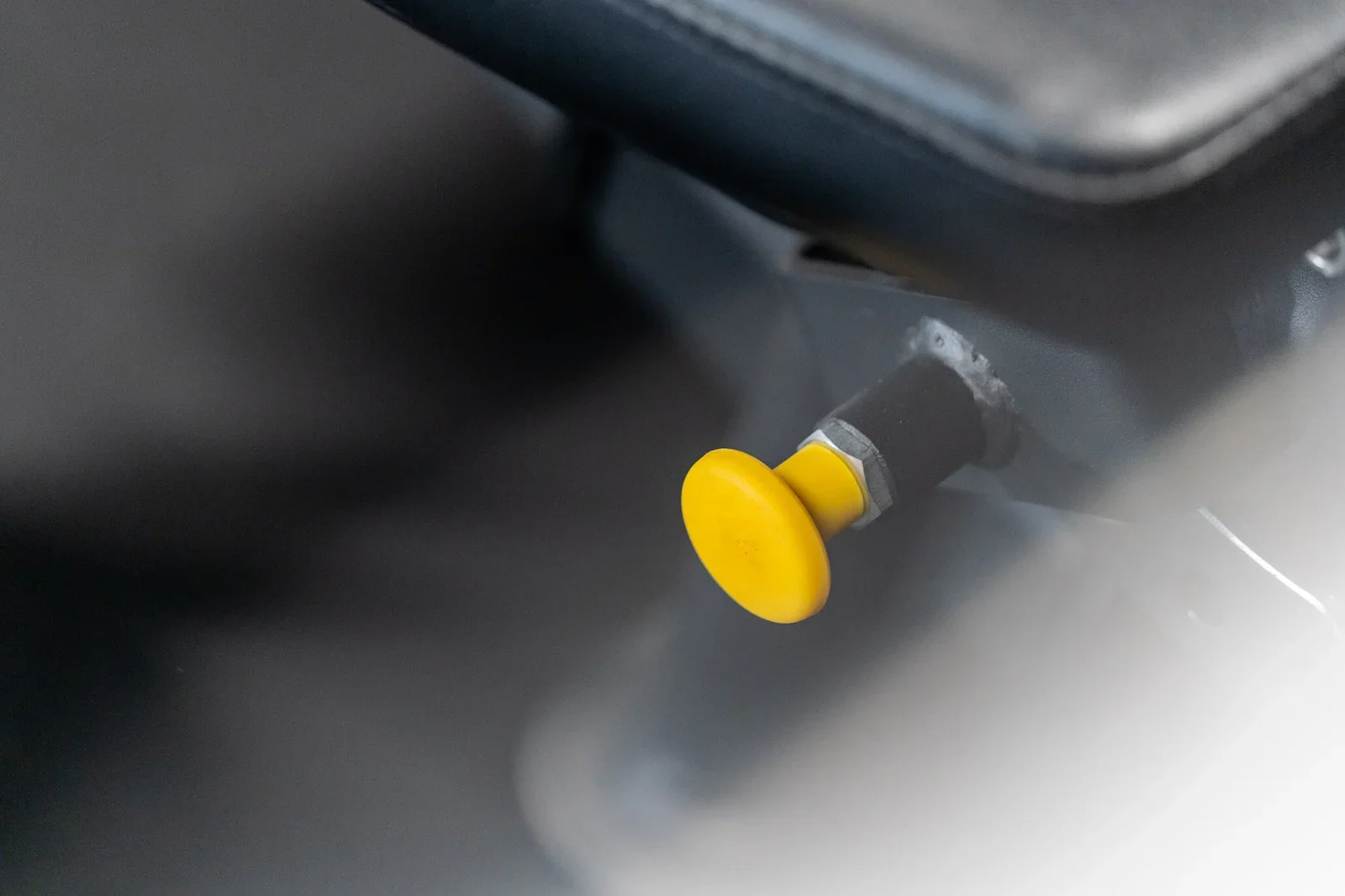 Adjustable Bench-4.webp