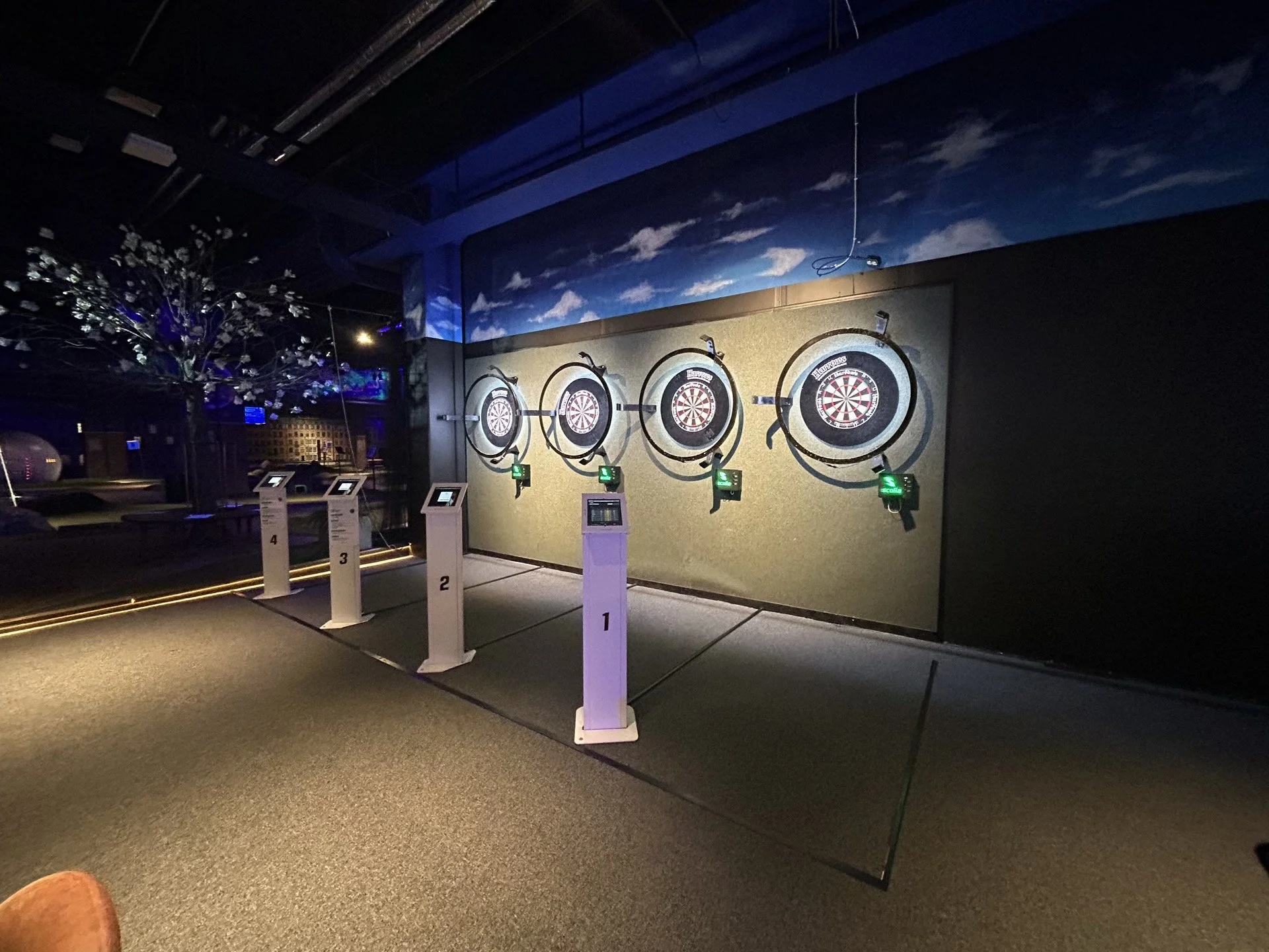 Professionell dartspelande