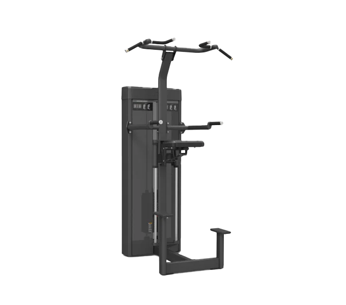 Weight Assisted Chin / Dip