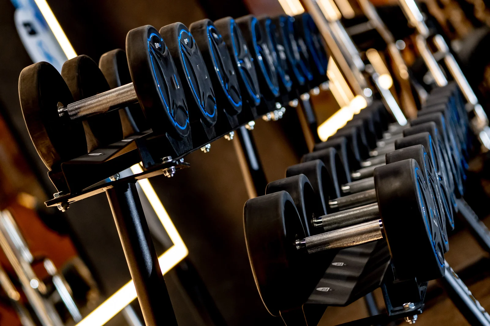 Horizontal Dumbbells Rack-4.png
