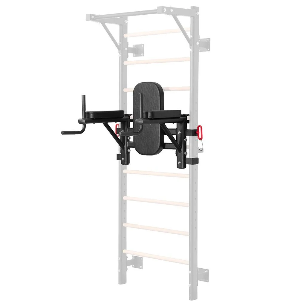 Dip Station for Wall Bars (option)
