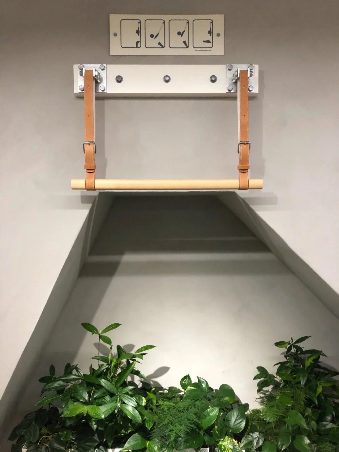 office trapeze-2.webp