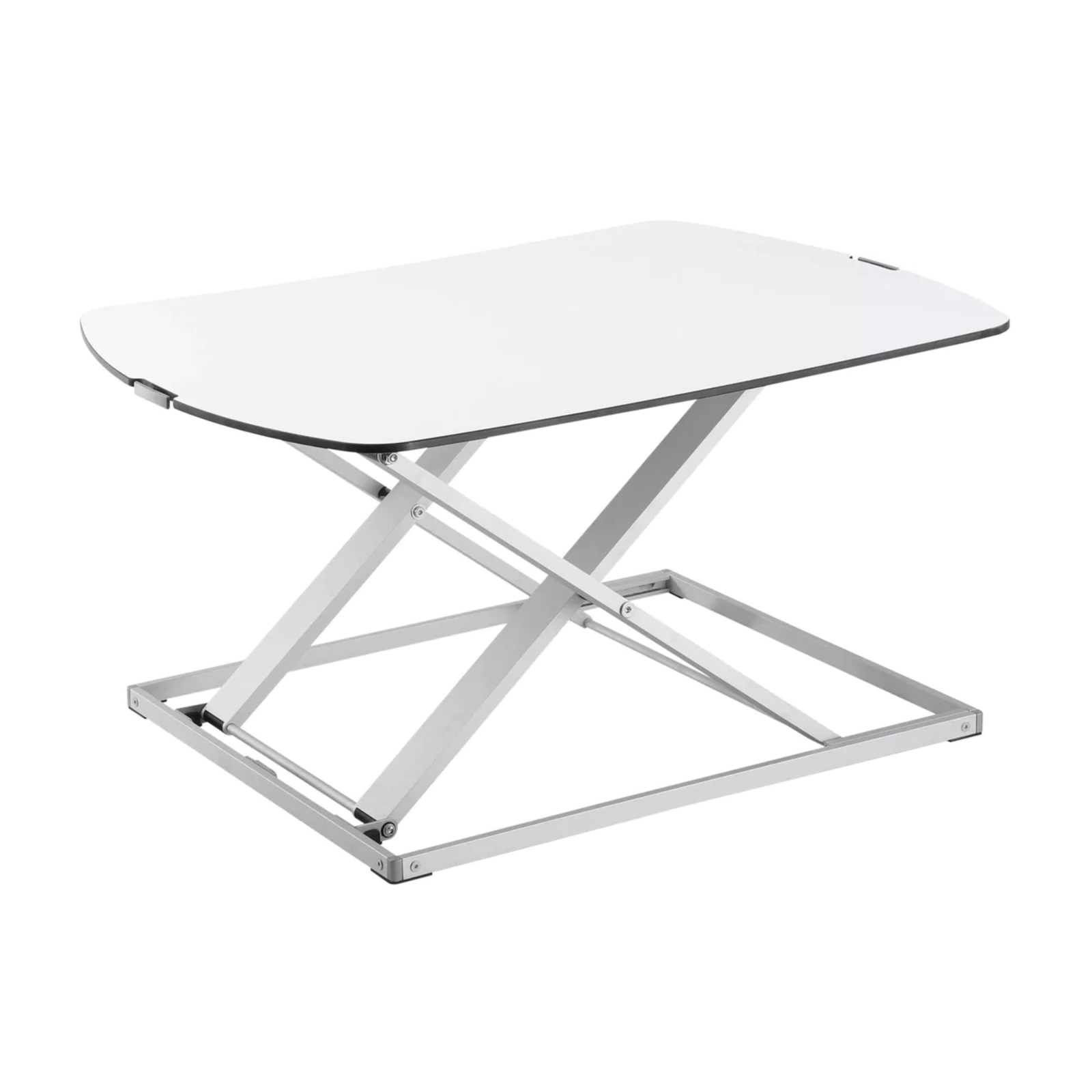 freedom friends table-2.png