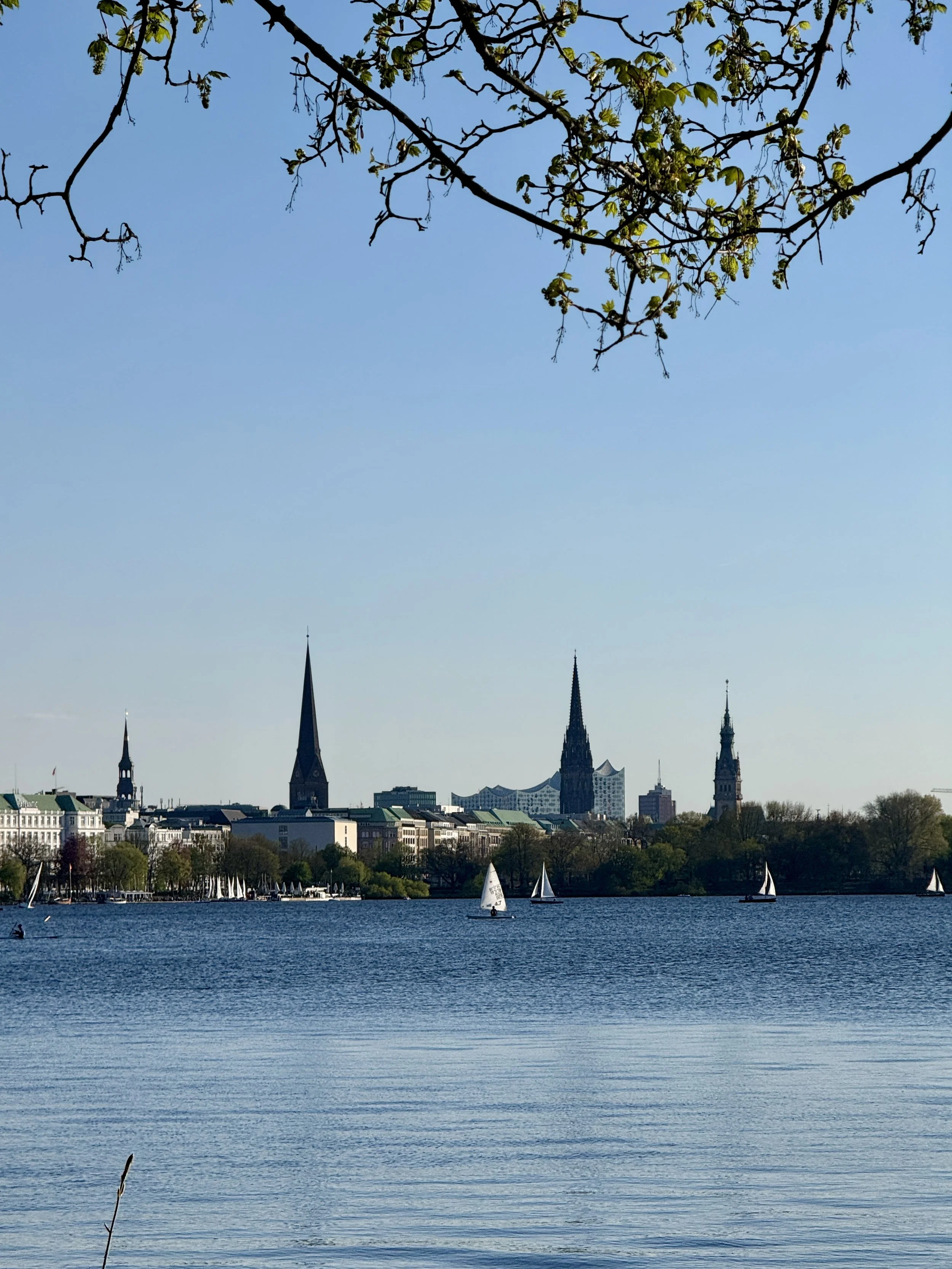 3-Monats-Teamentwicklung