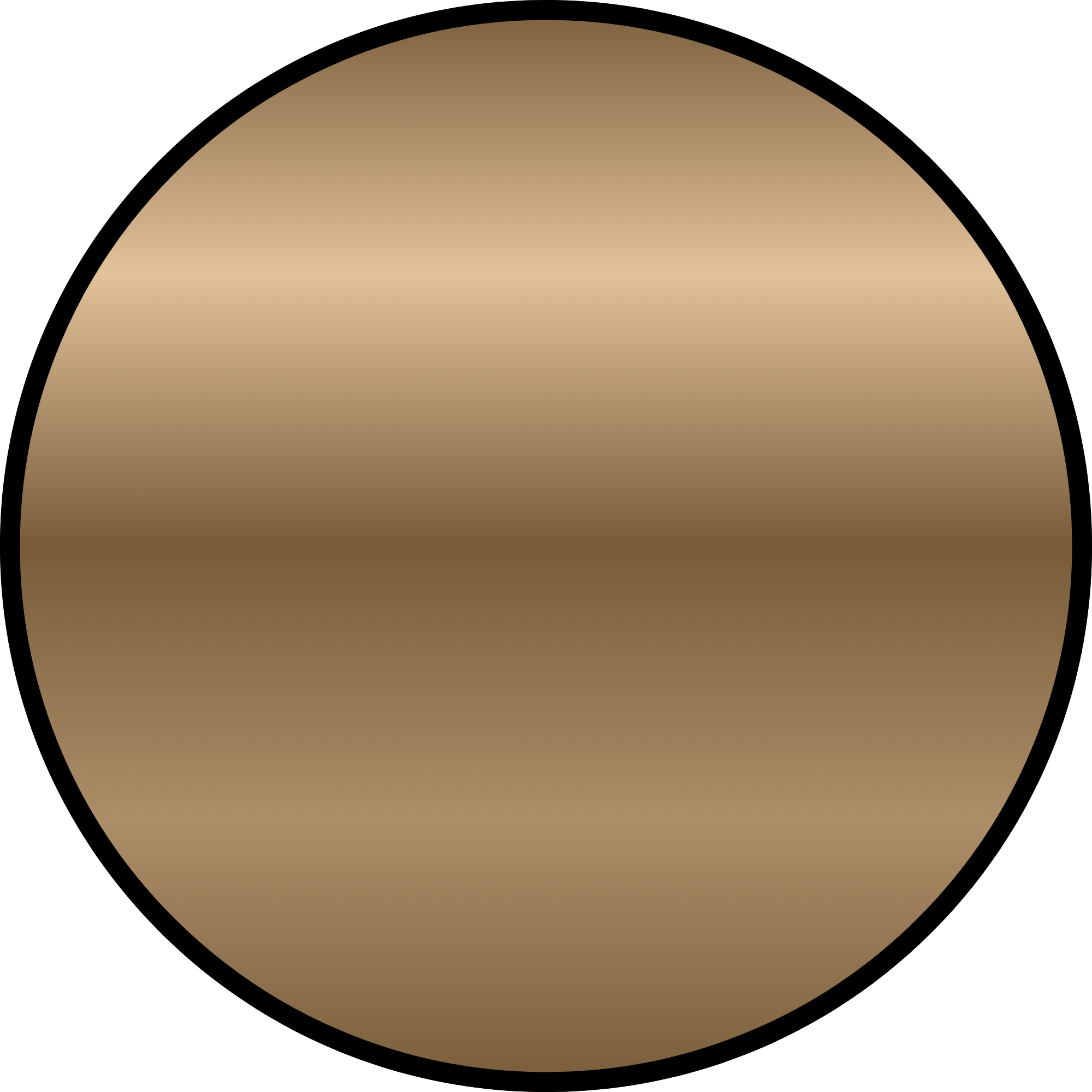 A large, circular object with a smooth, shiny surface in beige or gold tone, outlined with a black border.
